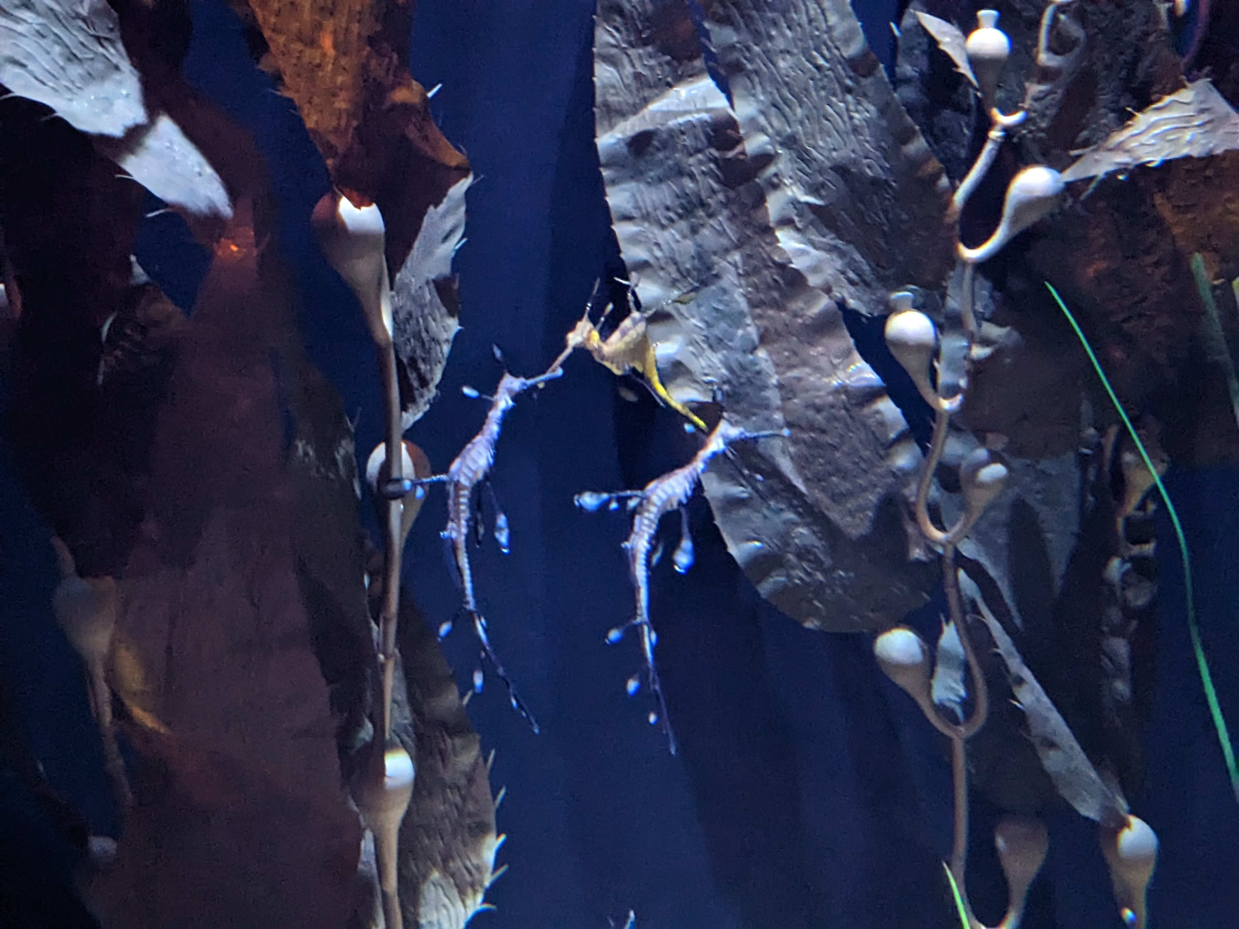 PXL 20221227 180627657