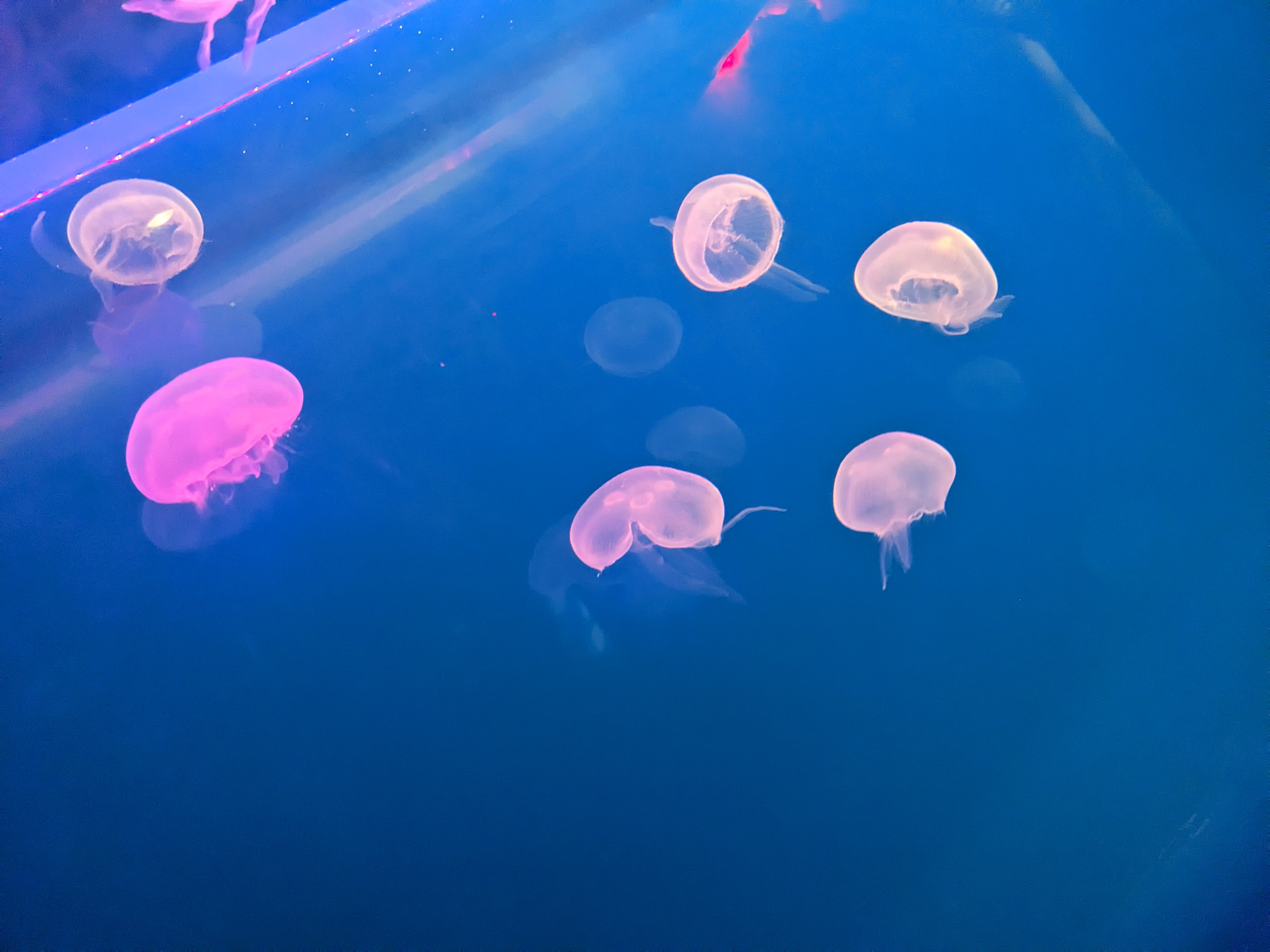 PXL 20221227 181447585