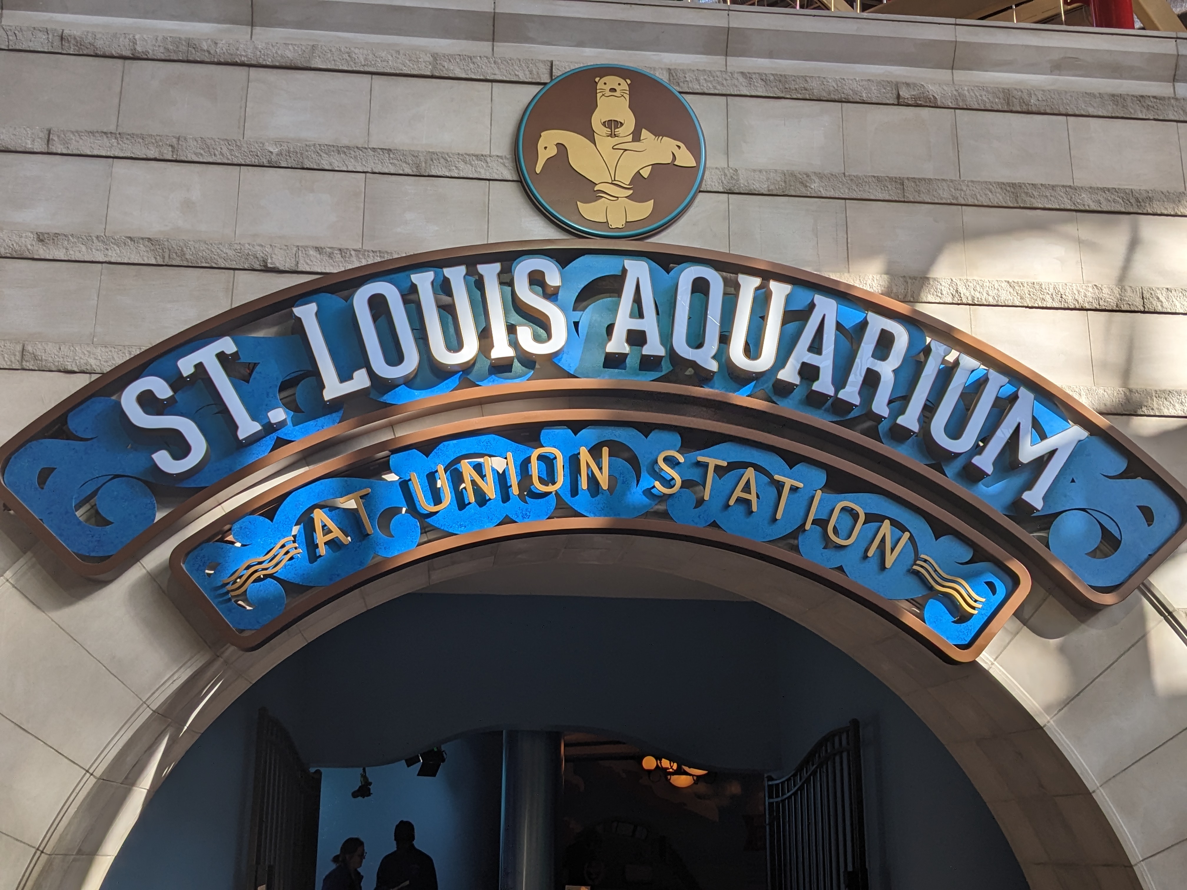 PXL 20221227 182805044