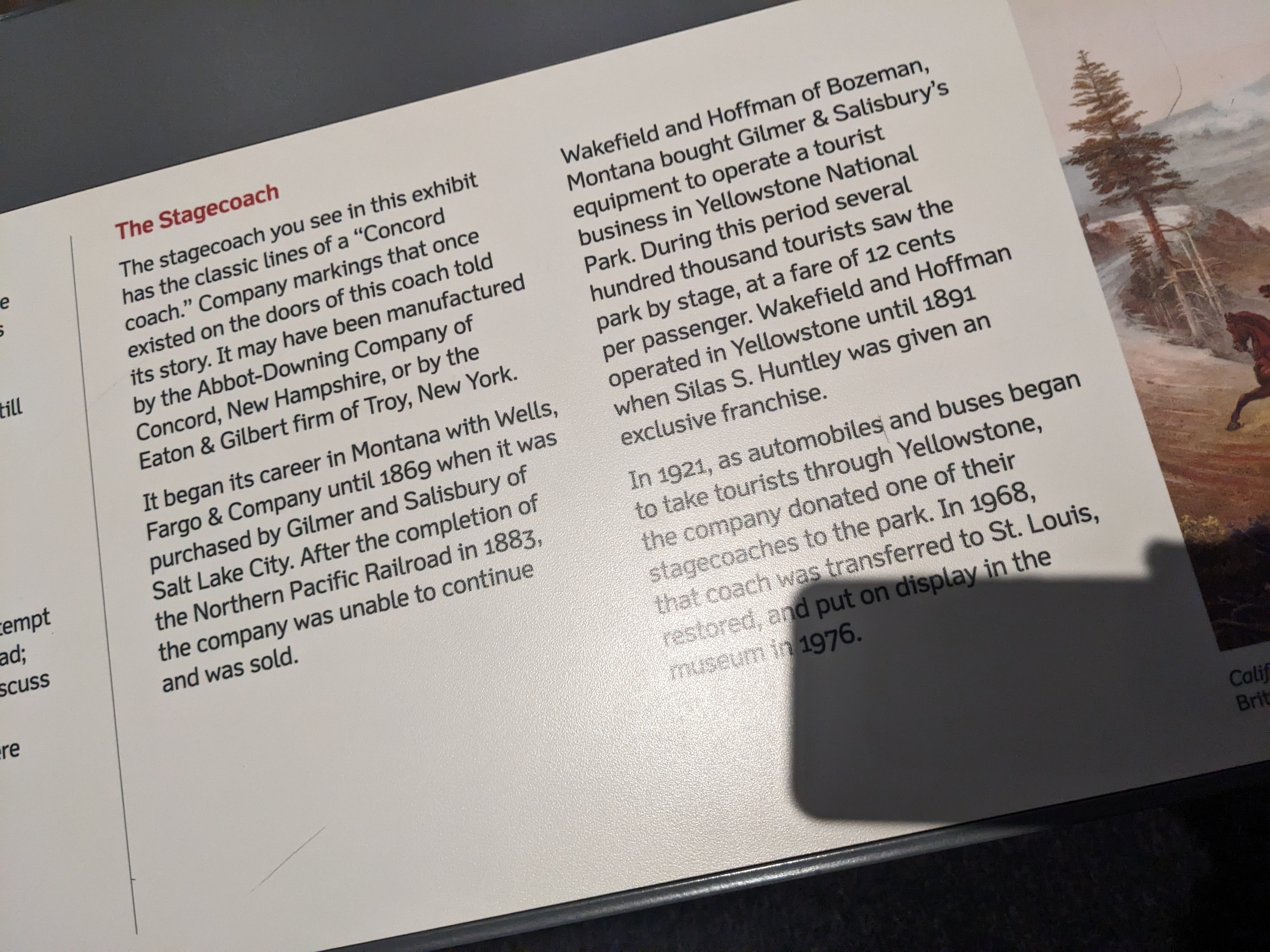 PXL 20230225 173336937