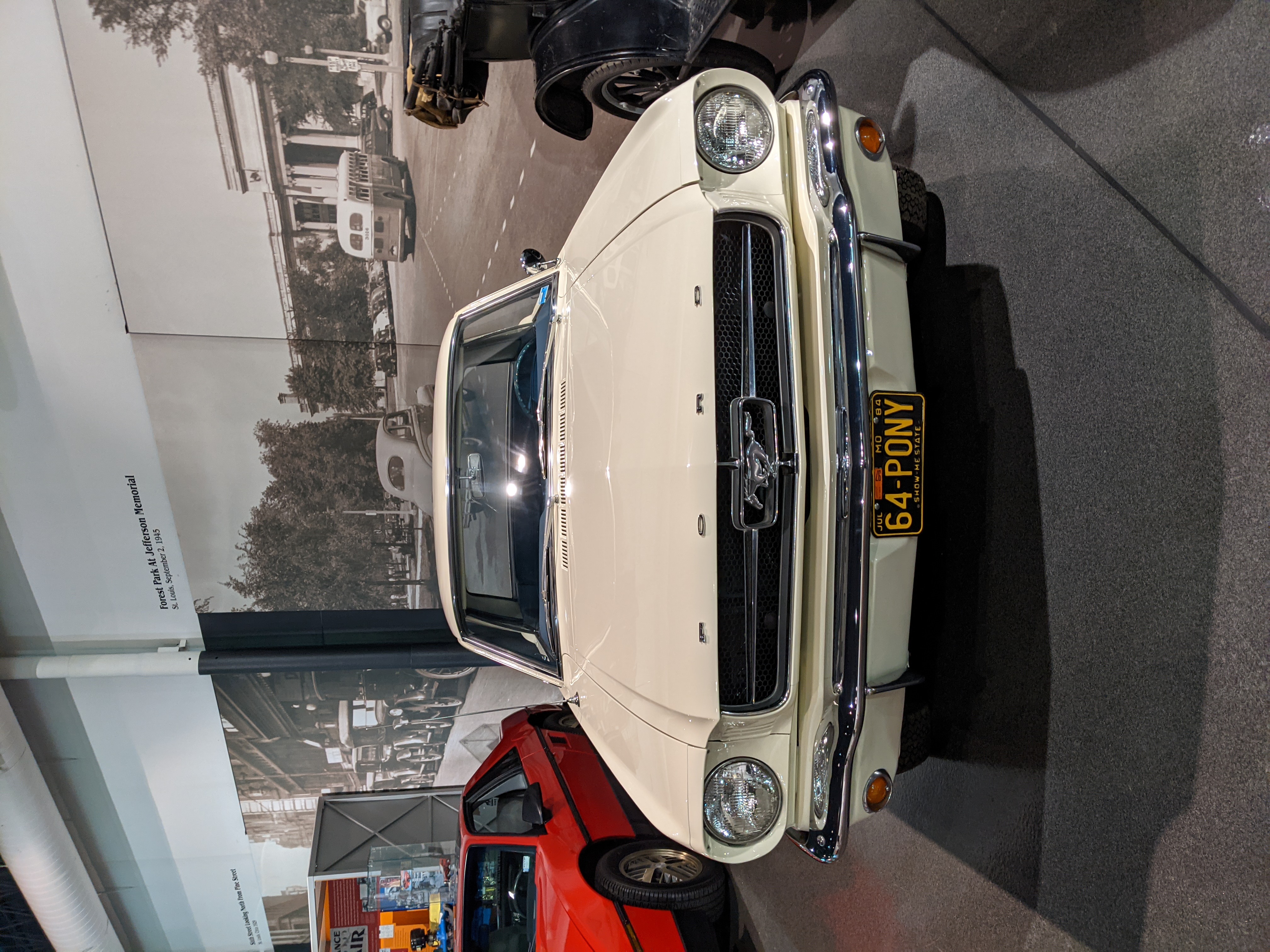 PXL 20210401 175309173