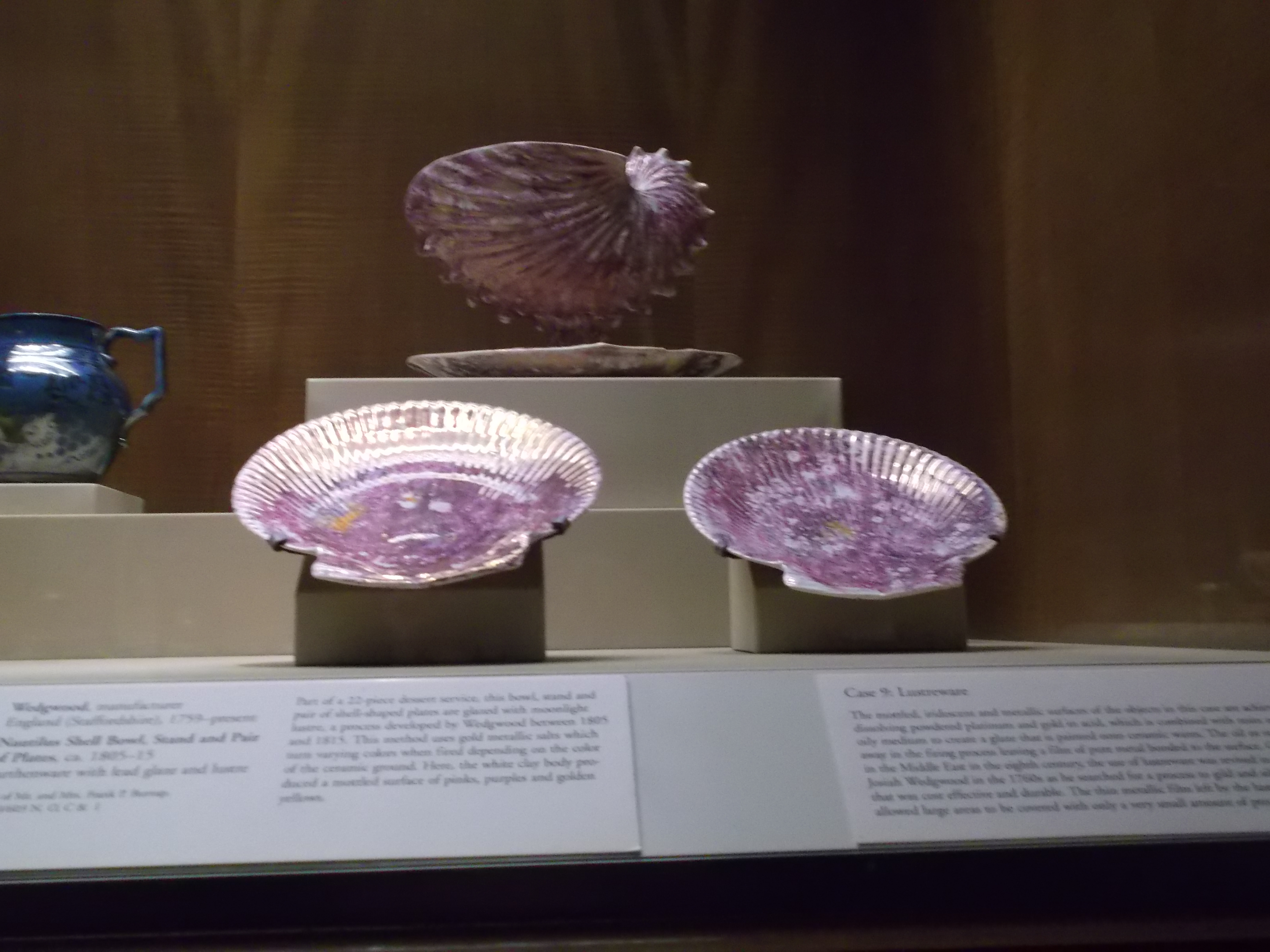 Nelson-Atkins Museum of Art (March 2015)