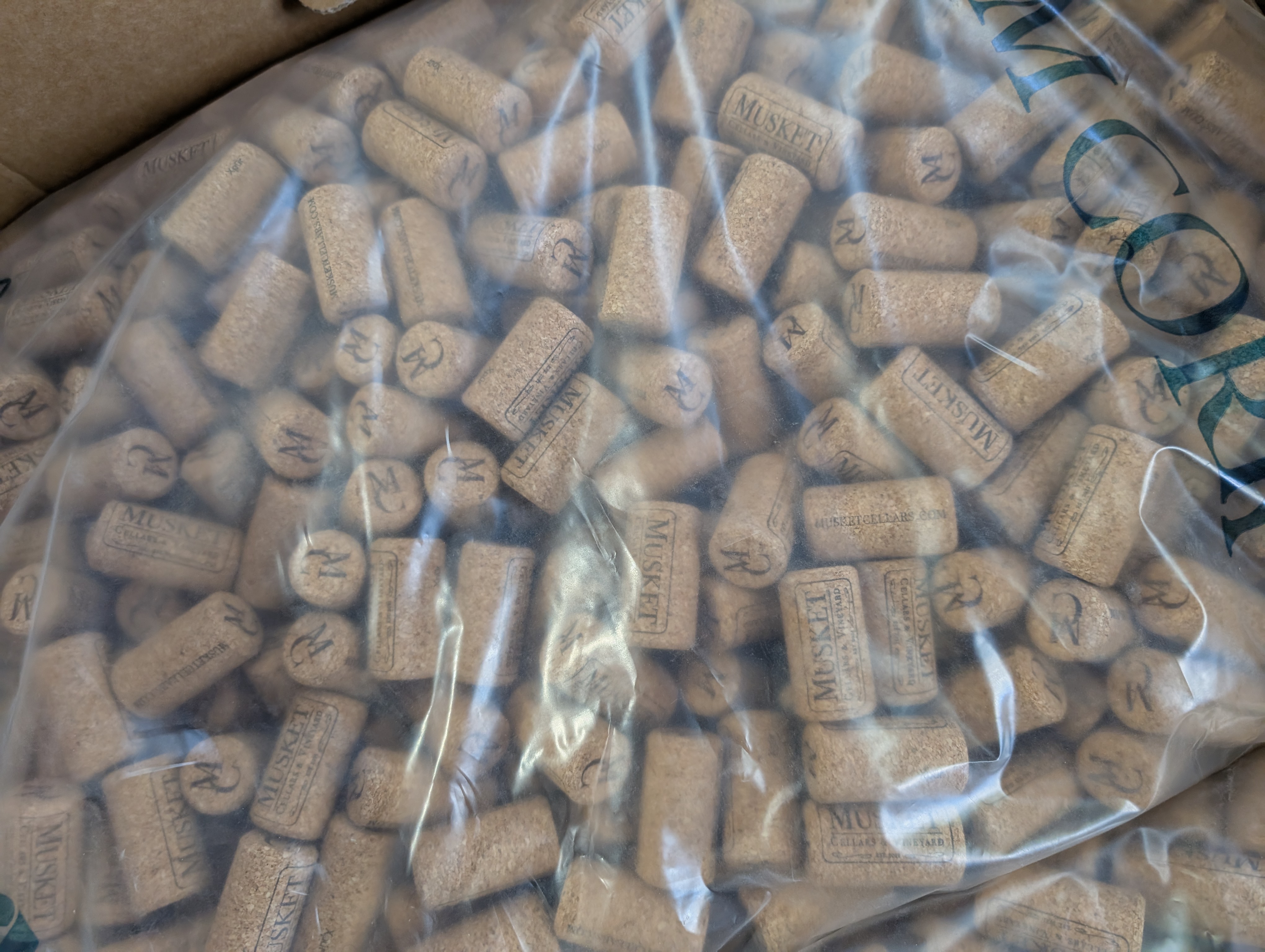 PXL 20250528 142305432