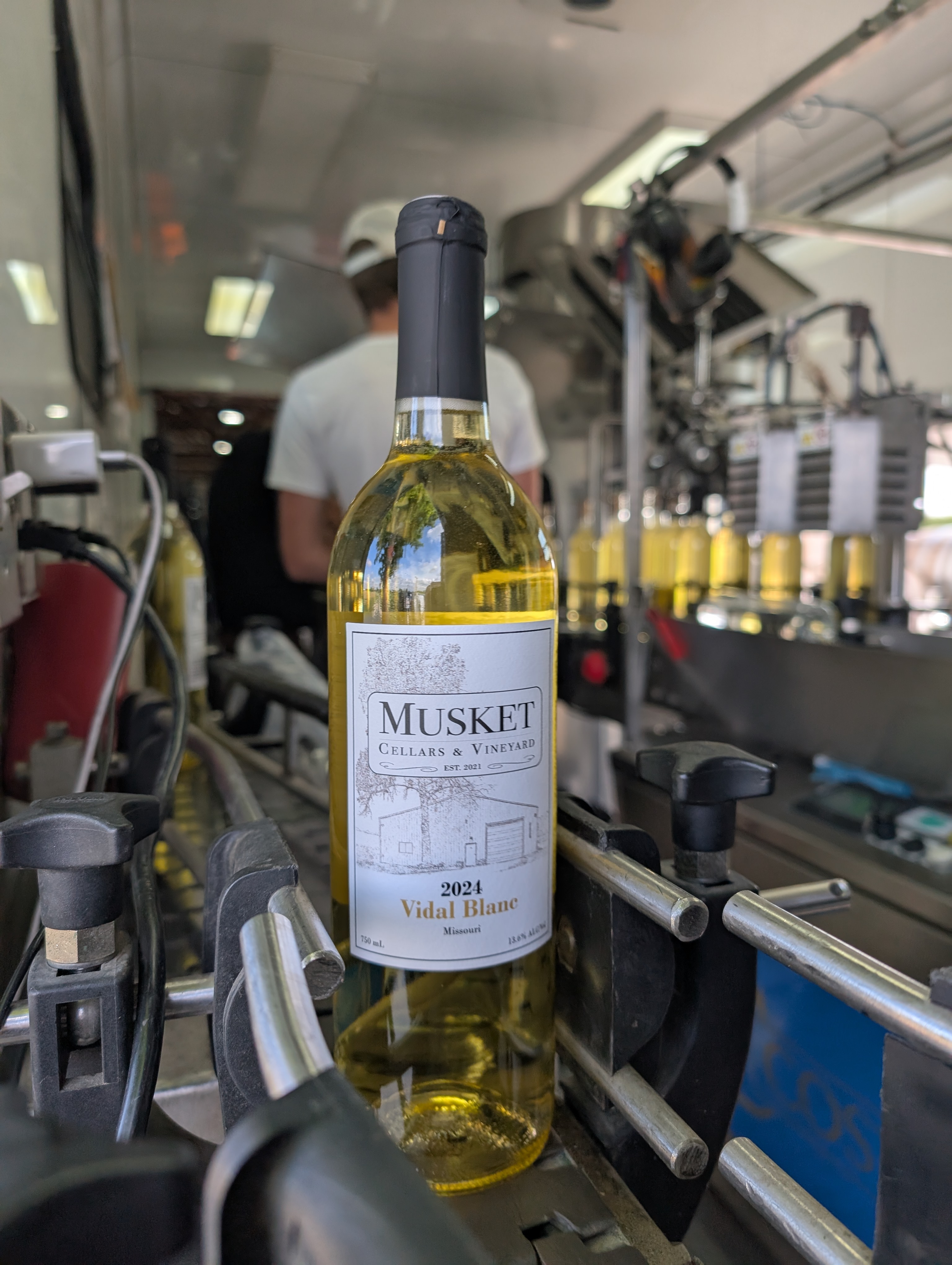 PXL 20250528 142353826