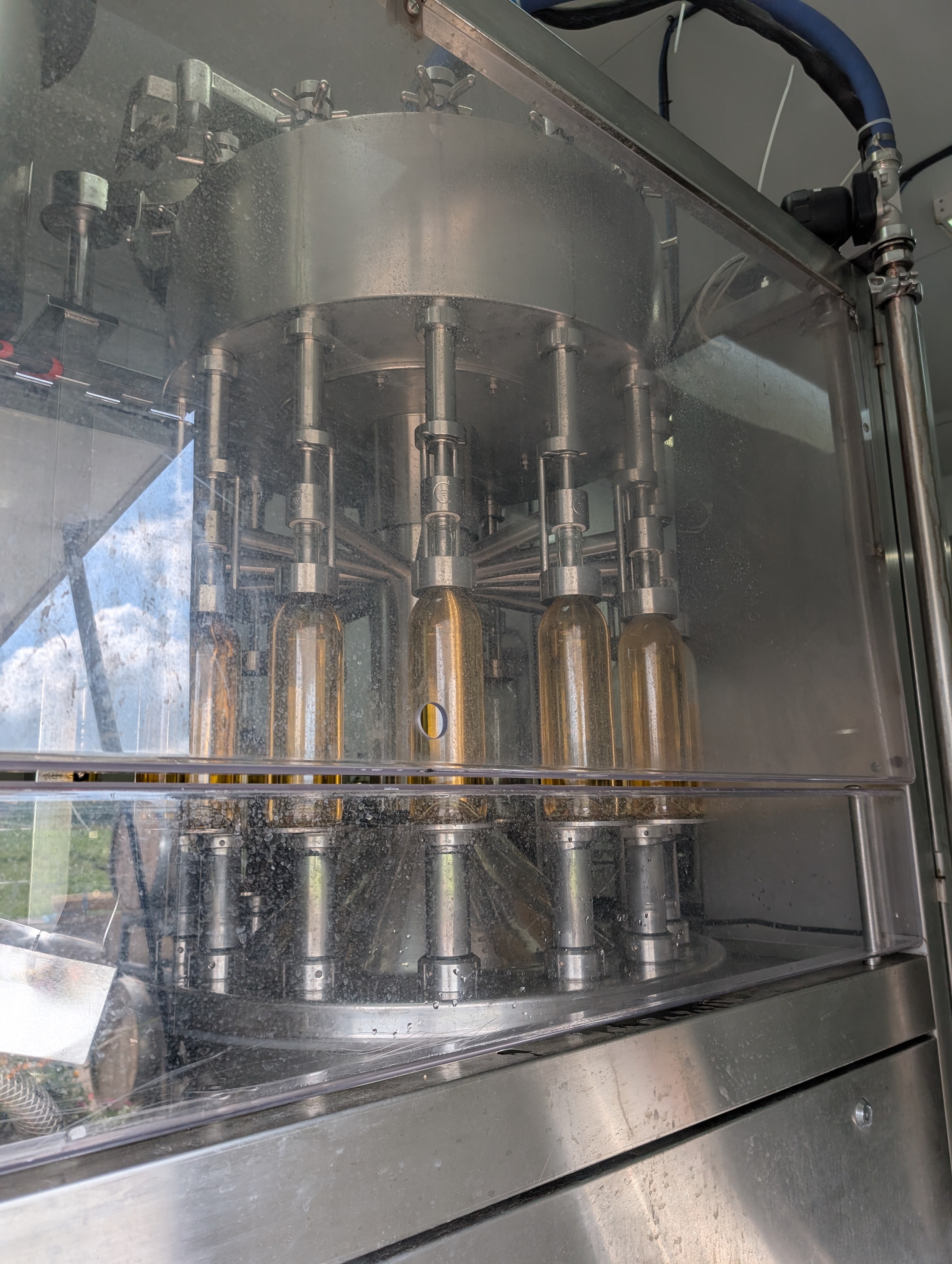 PXL 20250528 152039385