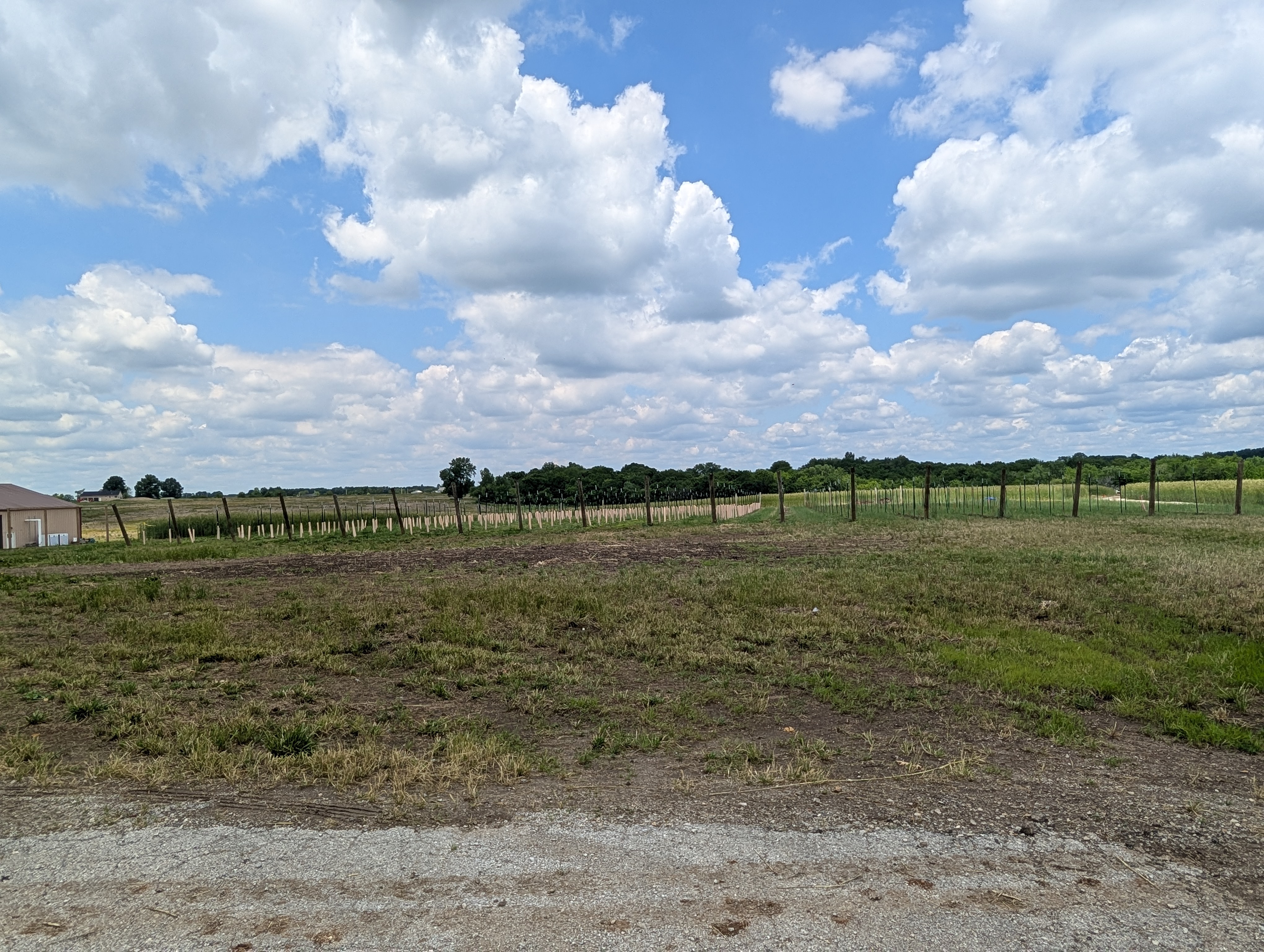 PXL 20250528 182748449