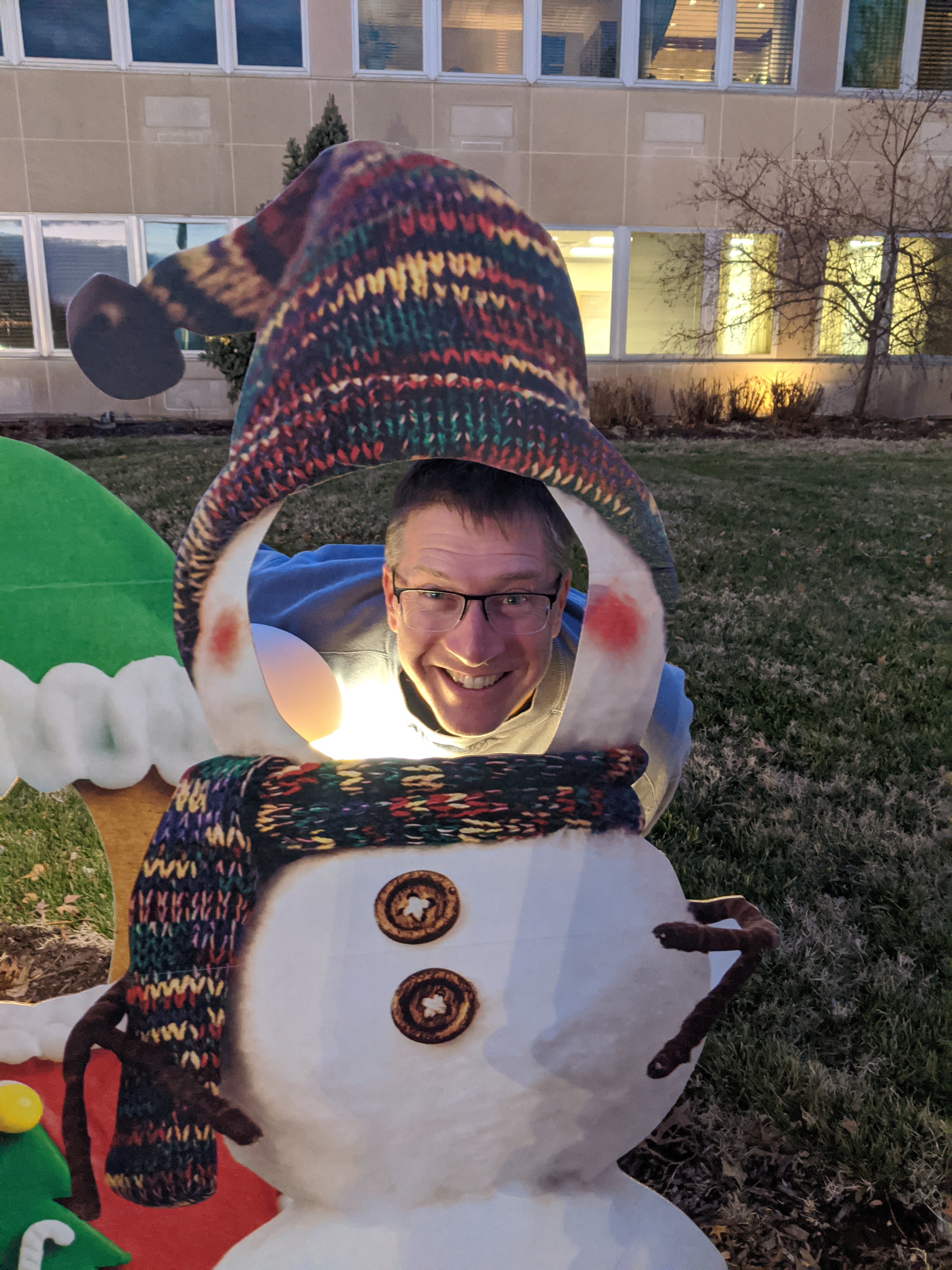 Shelter Tree Lighting