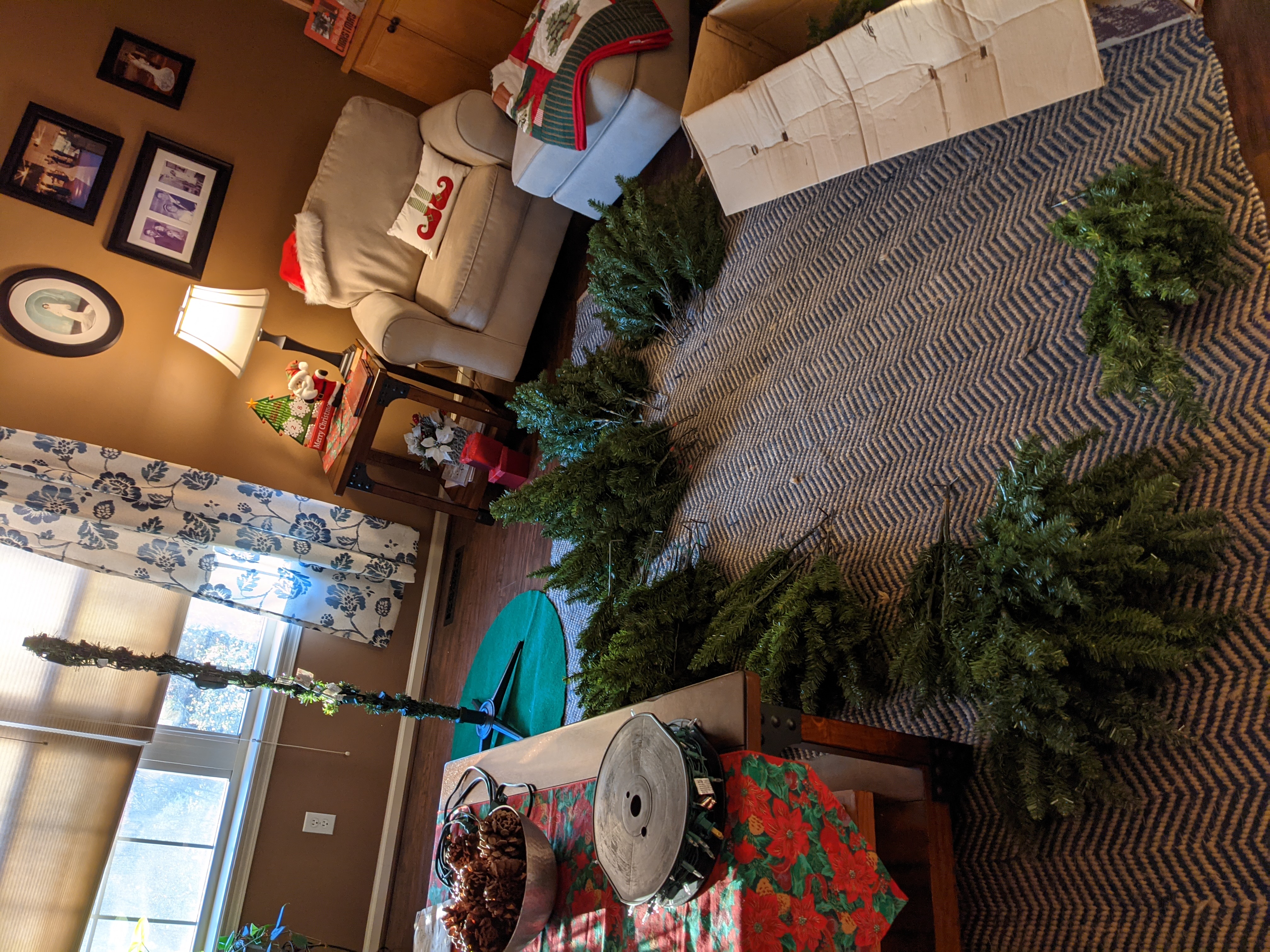 PXL 20201130 221303825