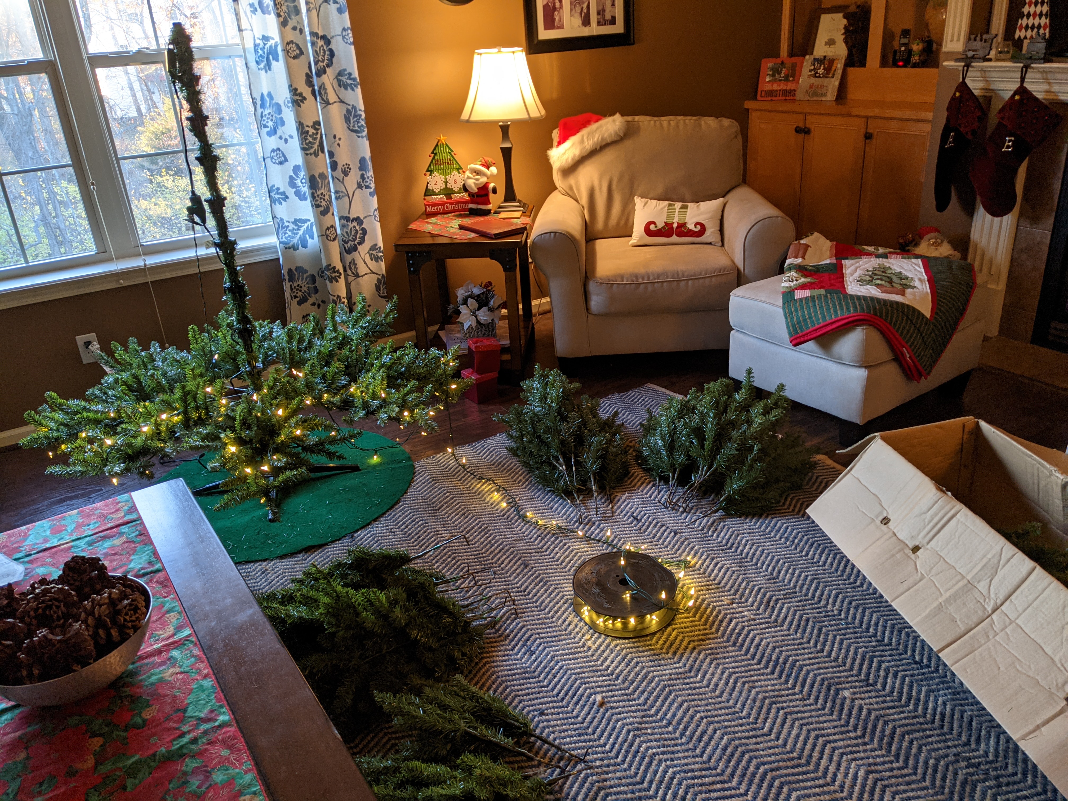 PXL 20201130 222432801