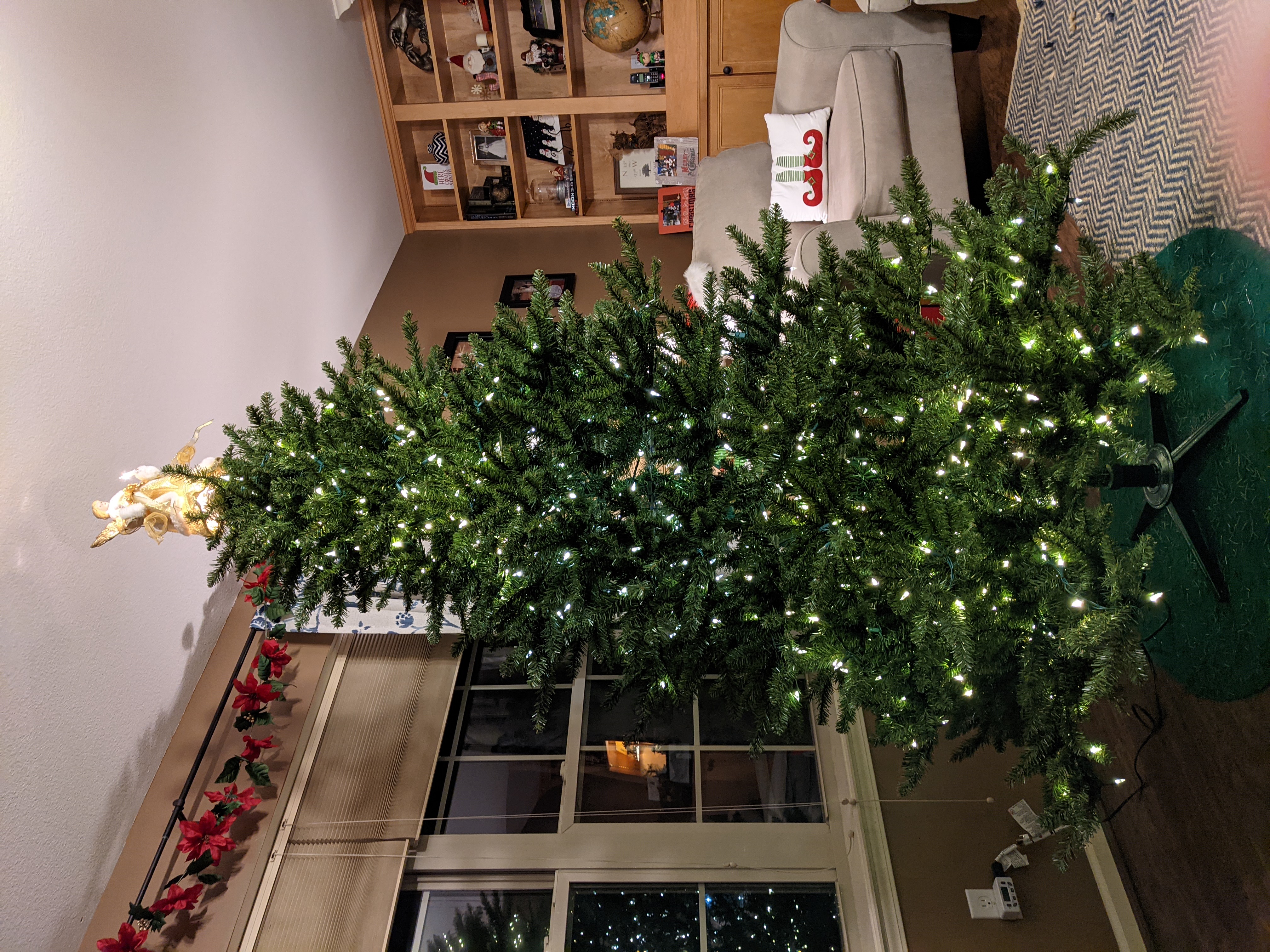 PXL 20201201 023323610