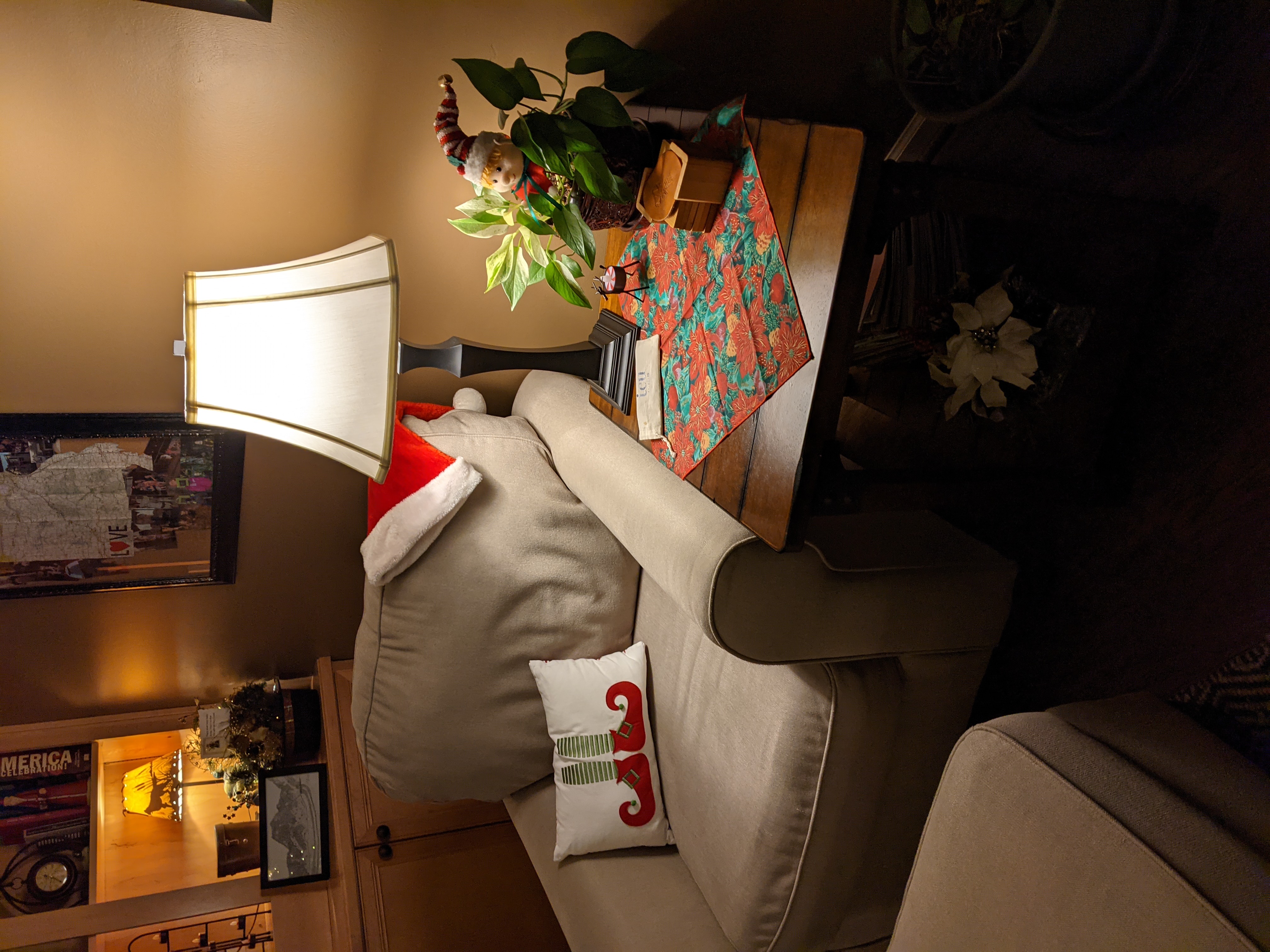 PXL 20201202 030947167