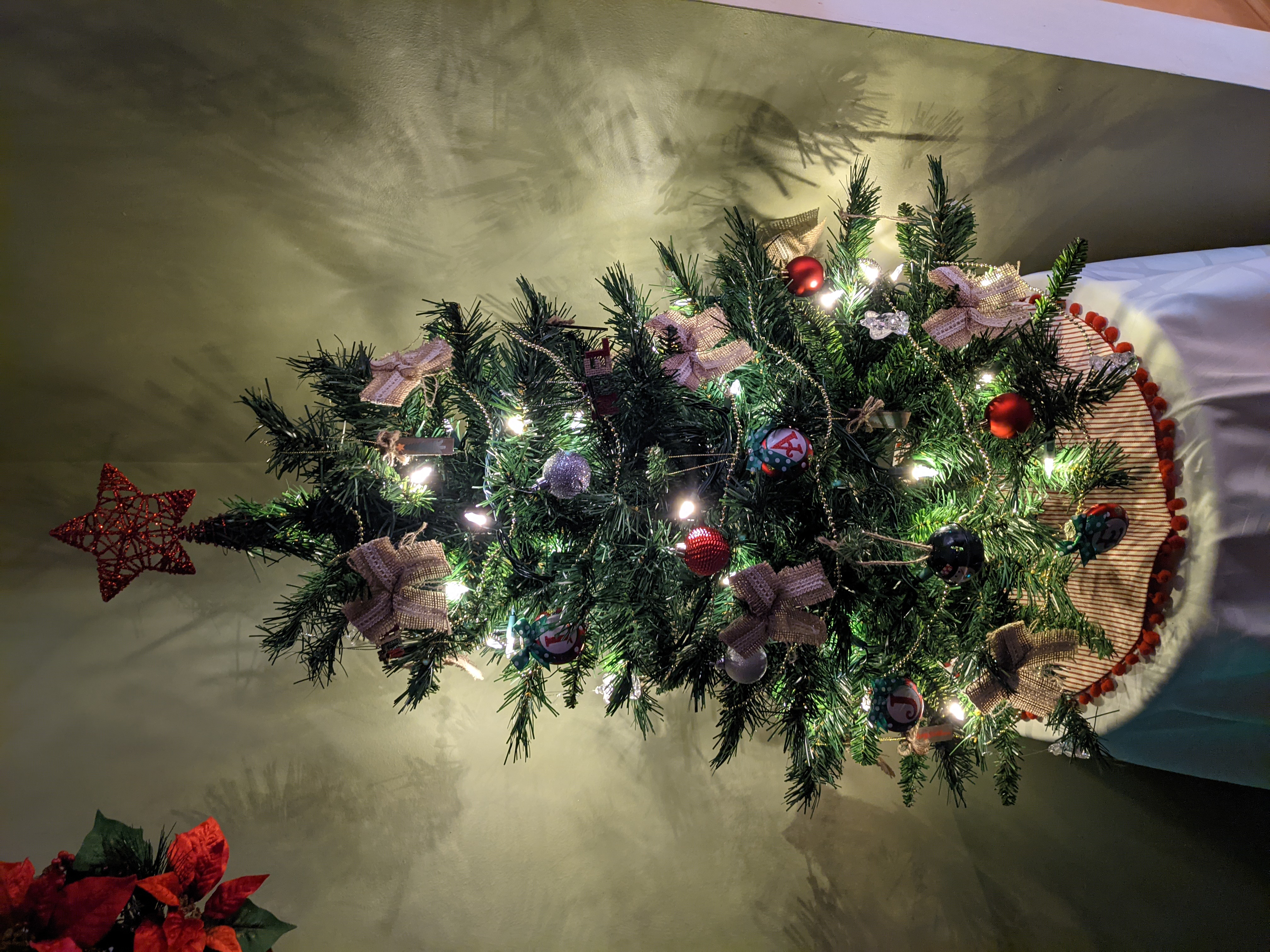 PXL 20201202 031311453