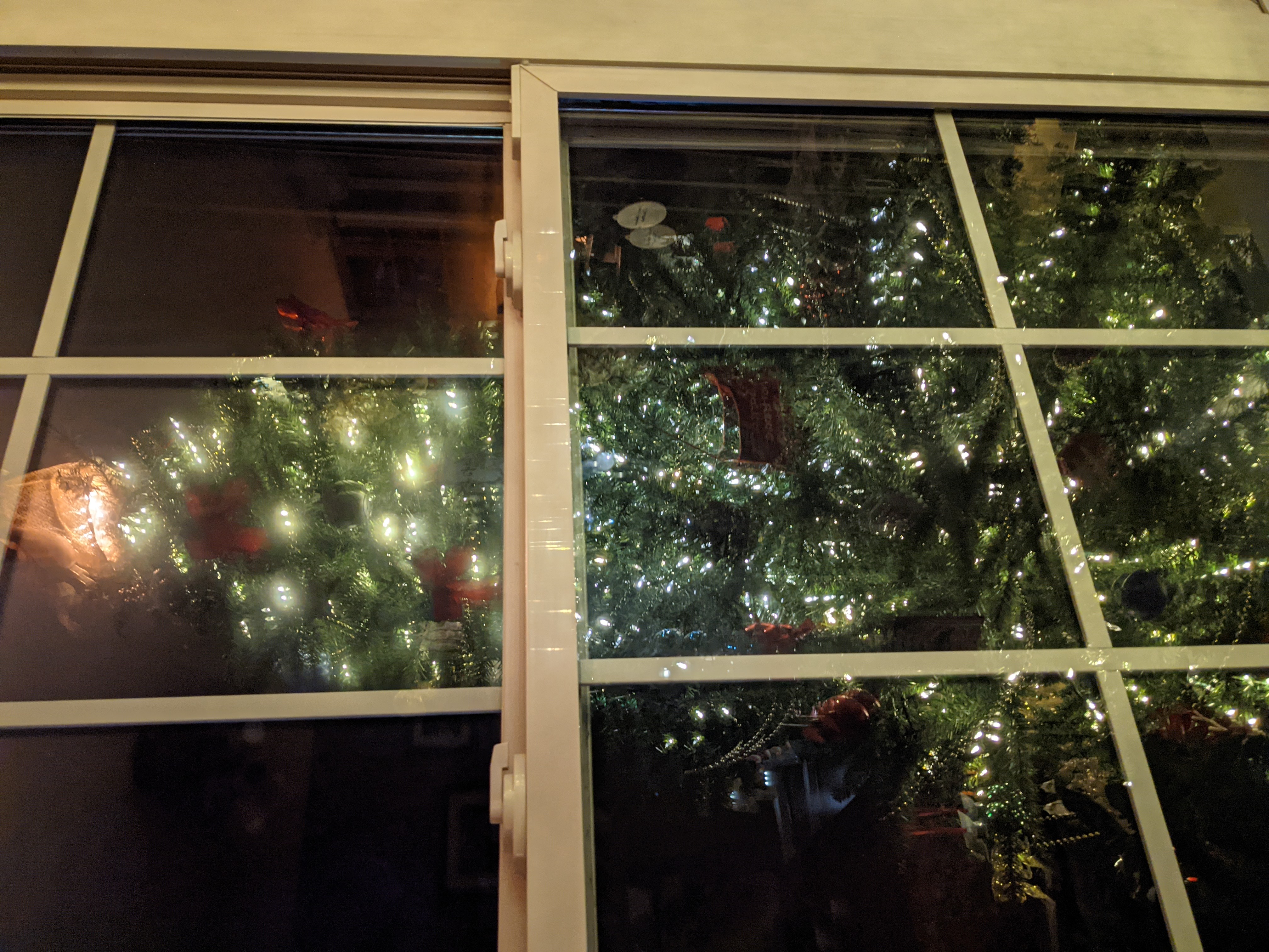 PXL 20201202 032052493