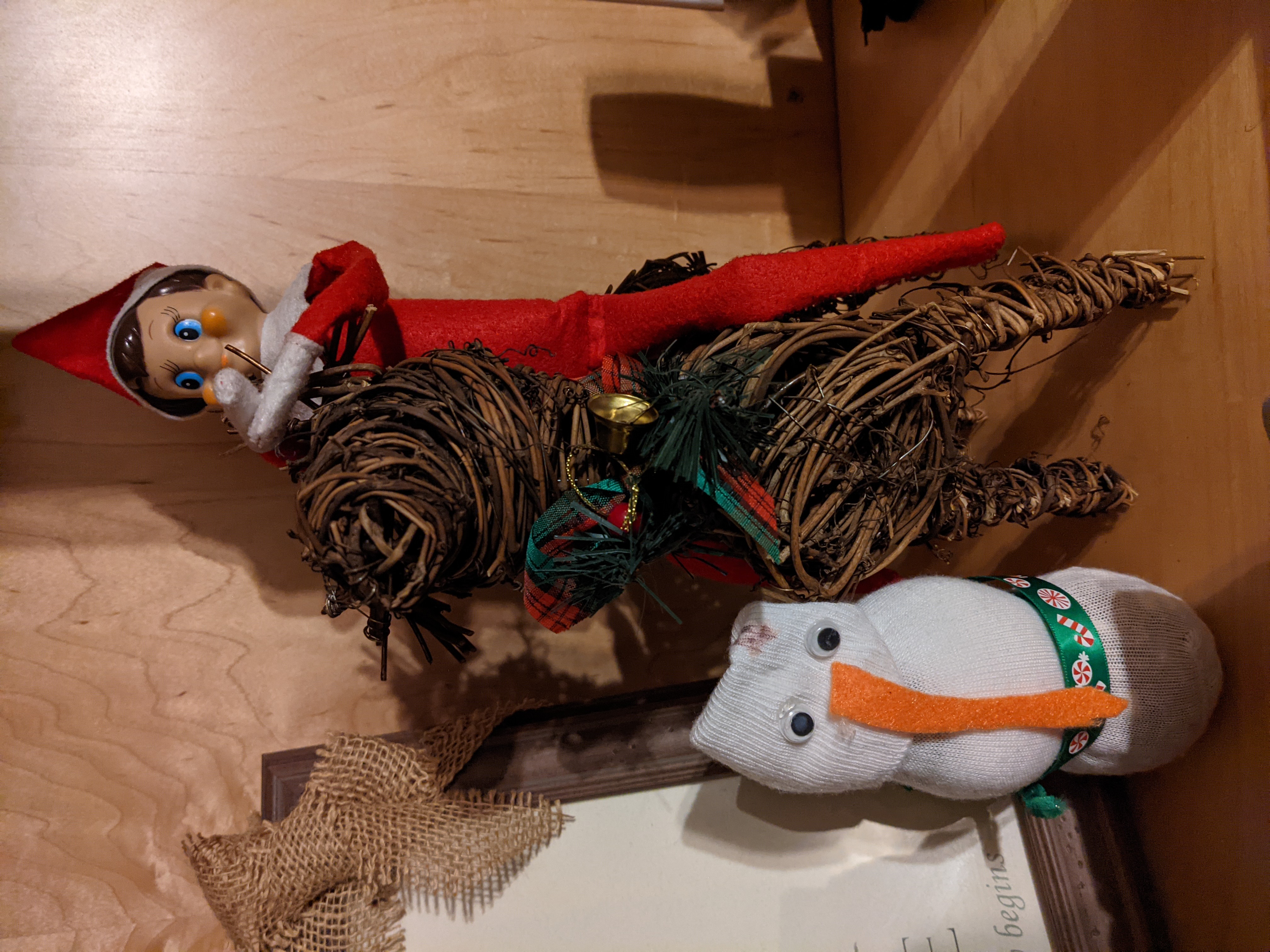 PXL 20201205 035209394