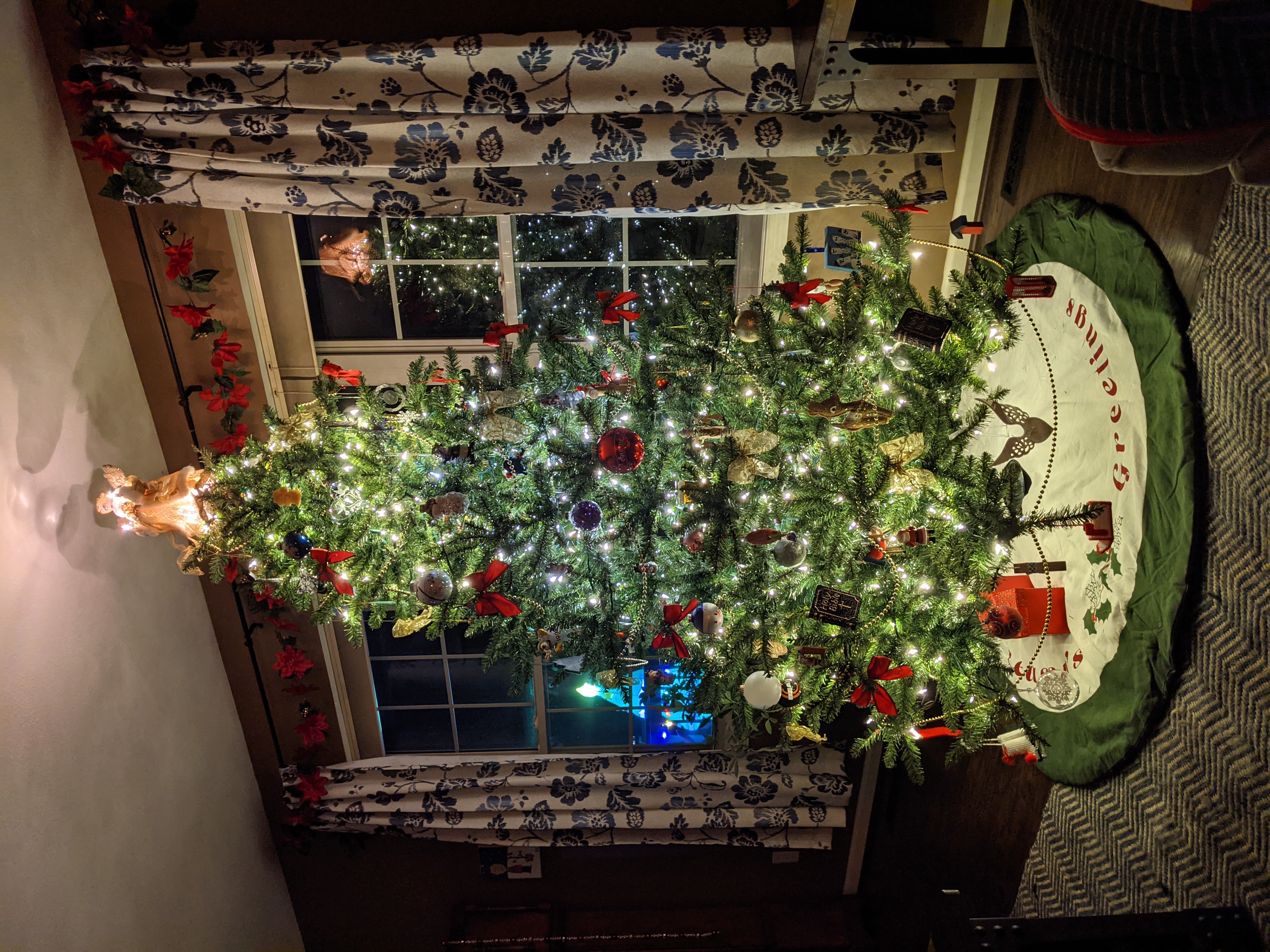 PXL 20201209 032324412