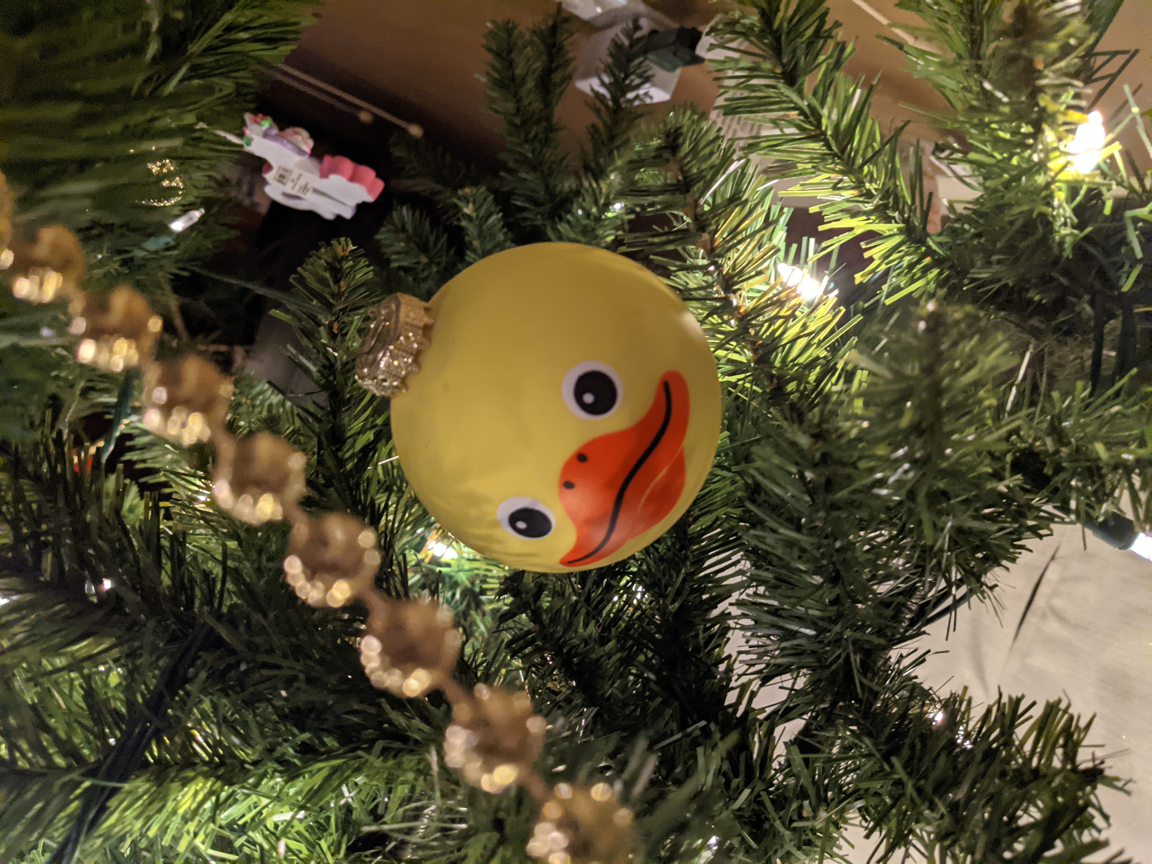 PXL 20201209 032941960