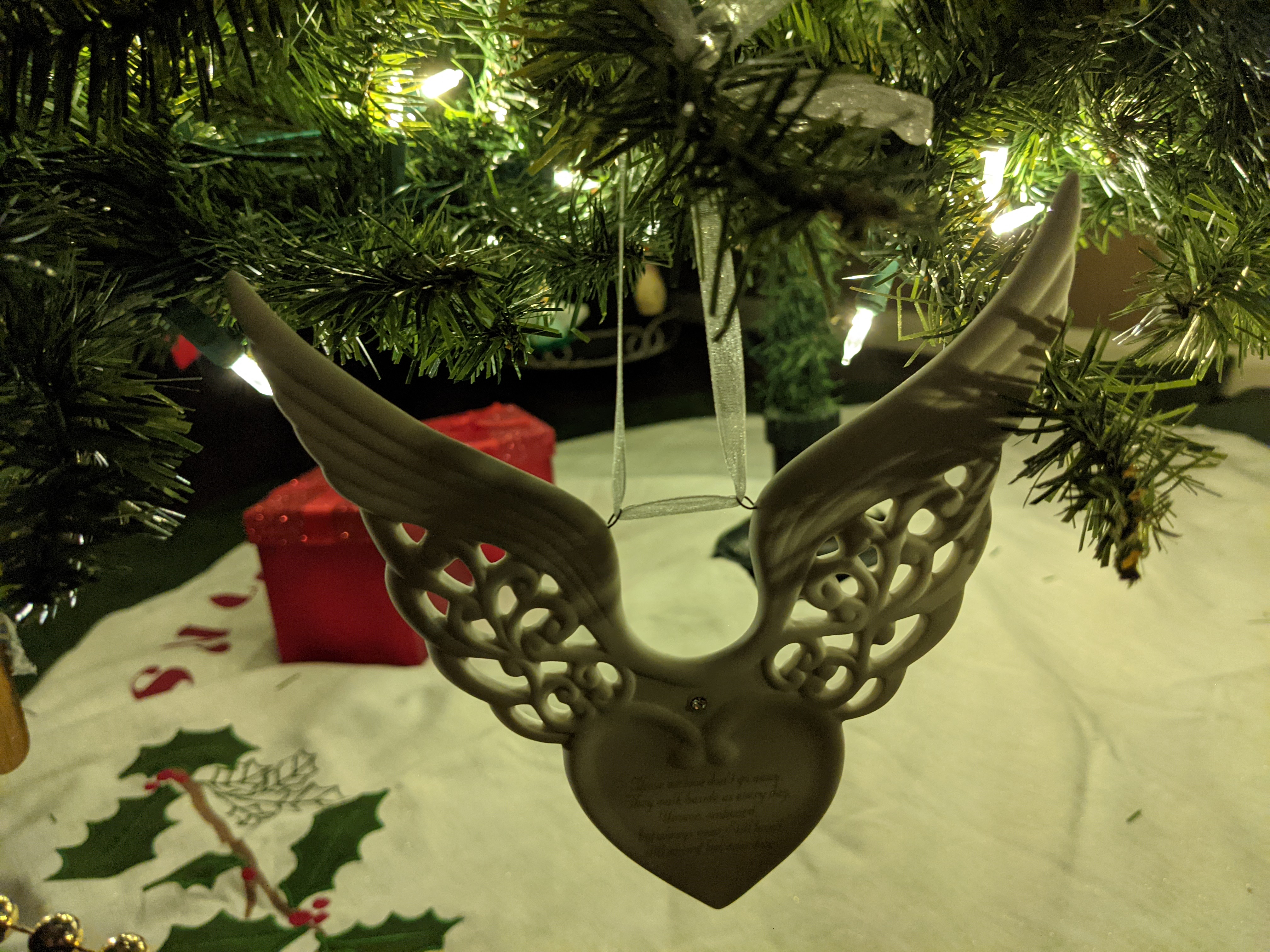 PXL 20201209 033003355