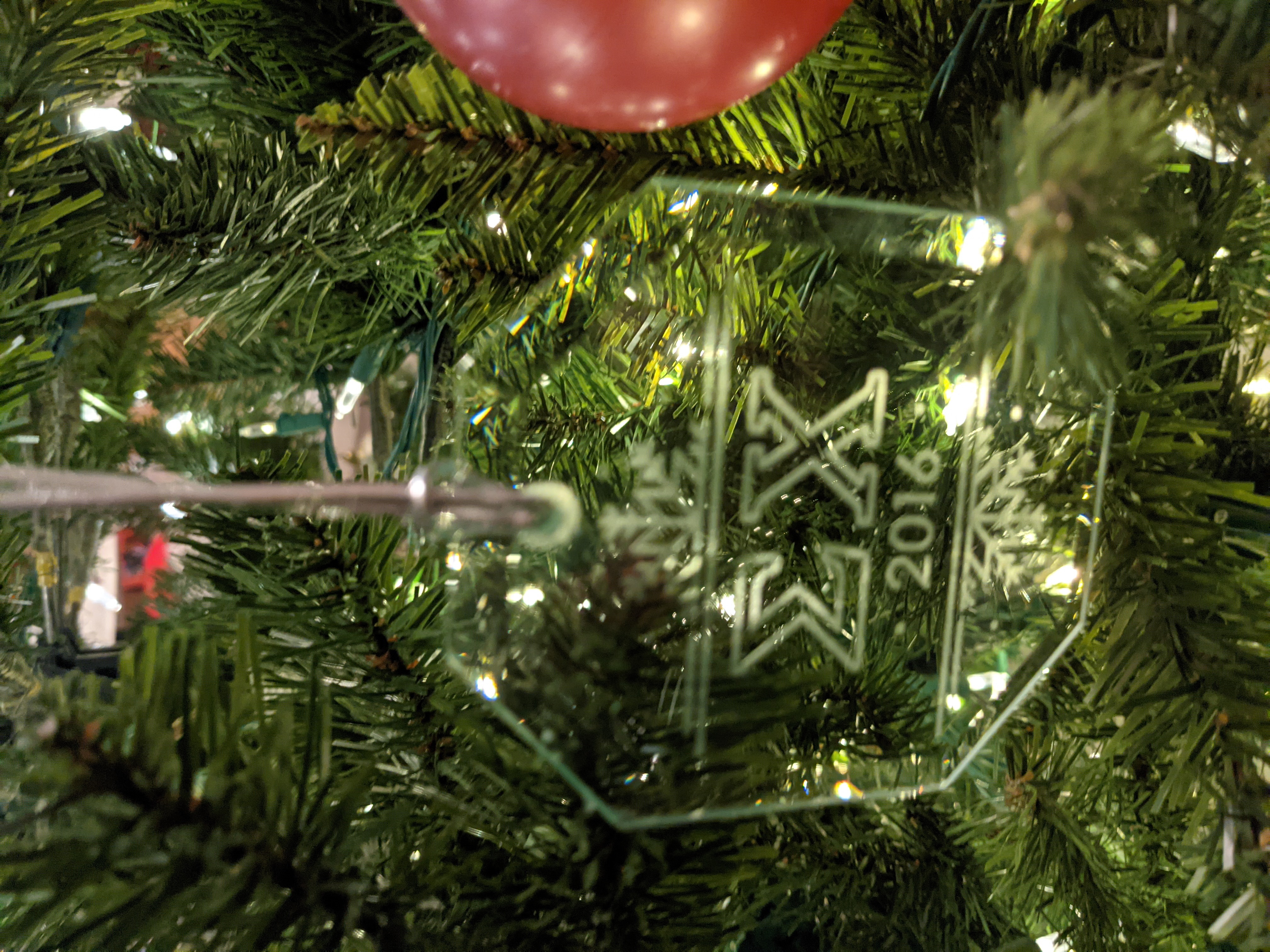 PXL 20201209 033615002