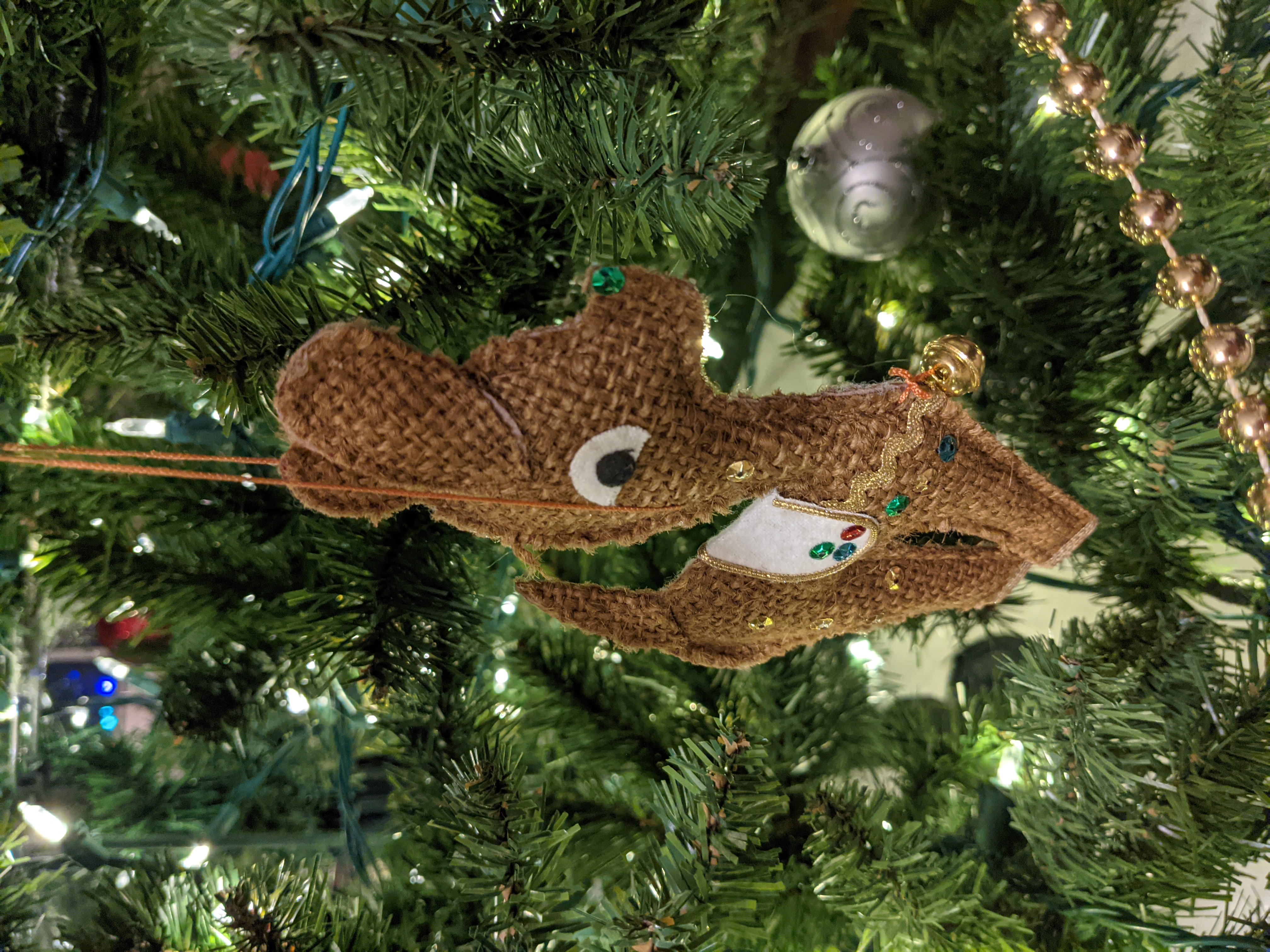 PXL 20201209 033819923