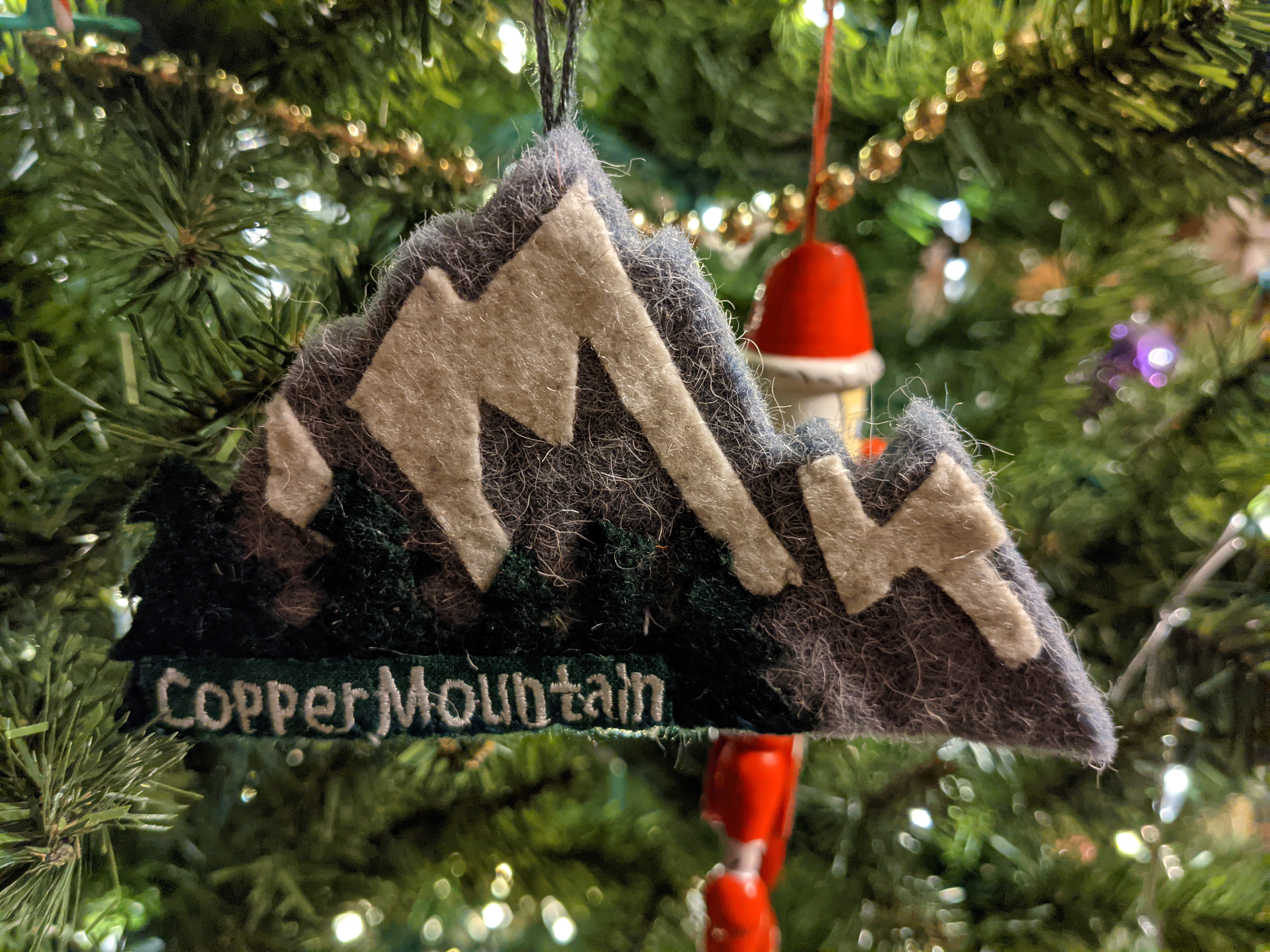 PXL 20201209 033858970