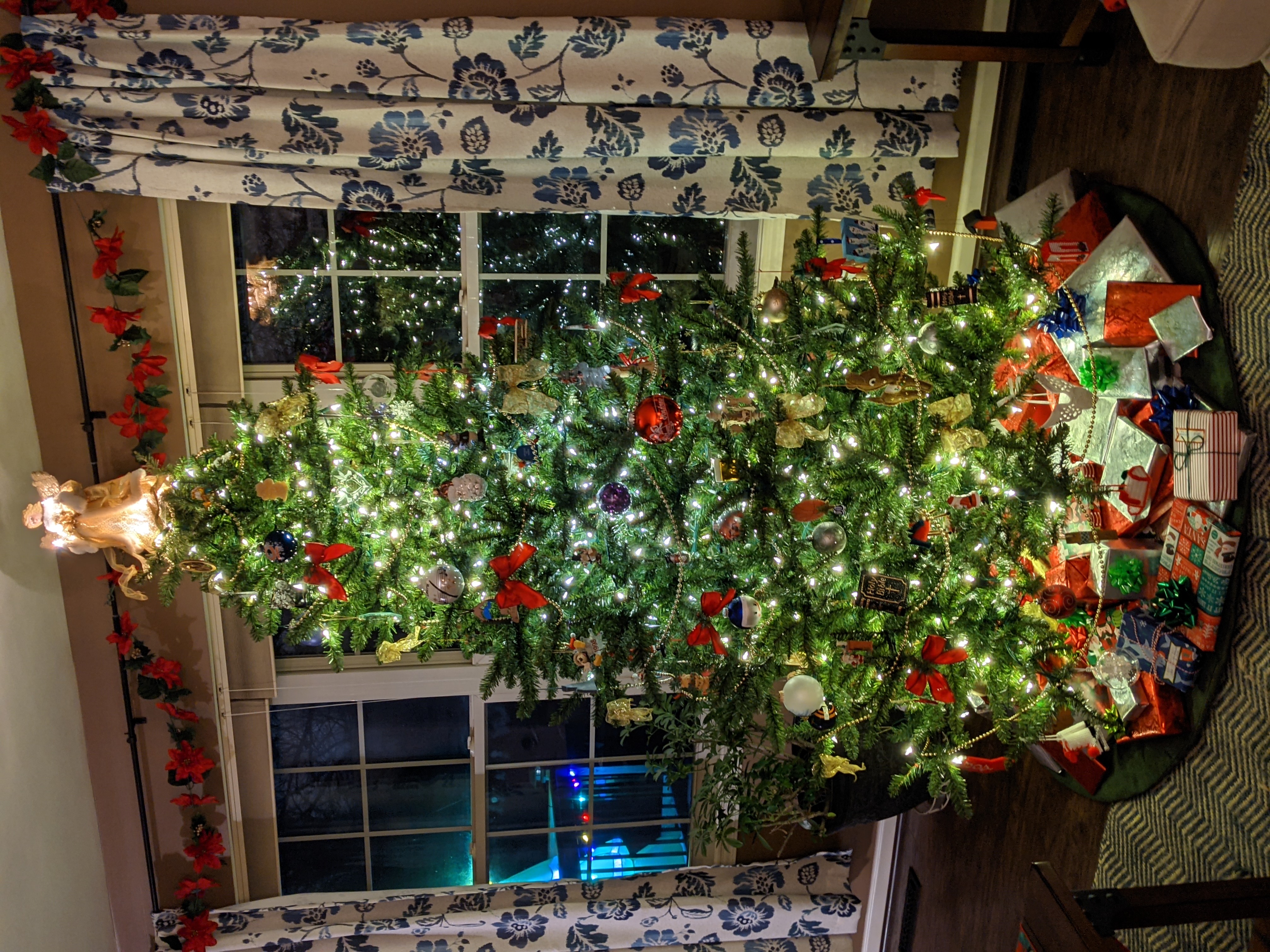 PXL 20201219 234344099