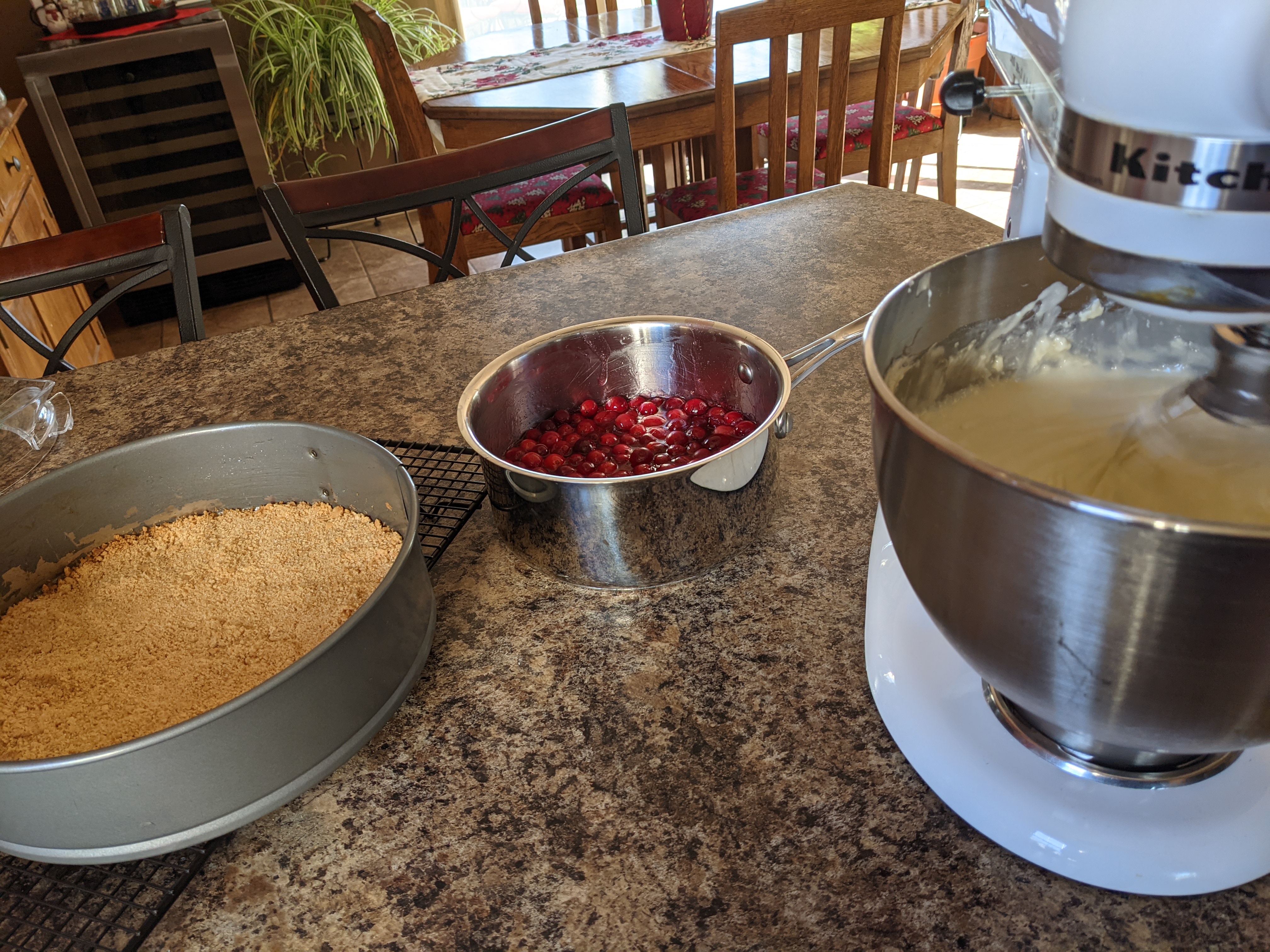 PXL 20201224 203300025