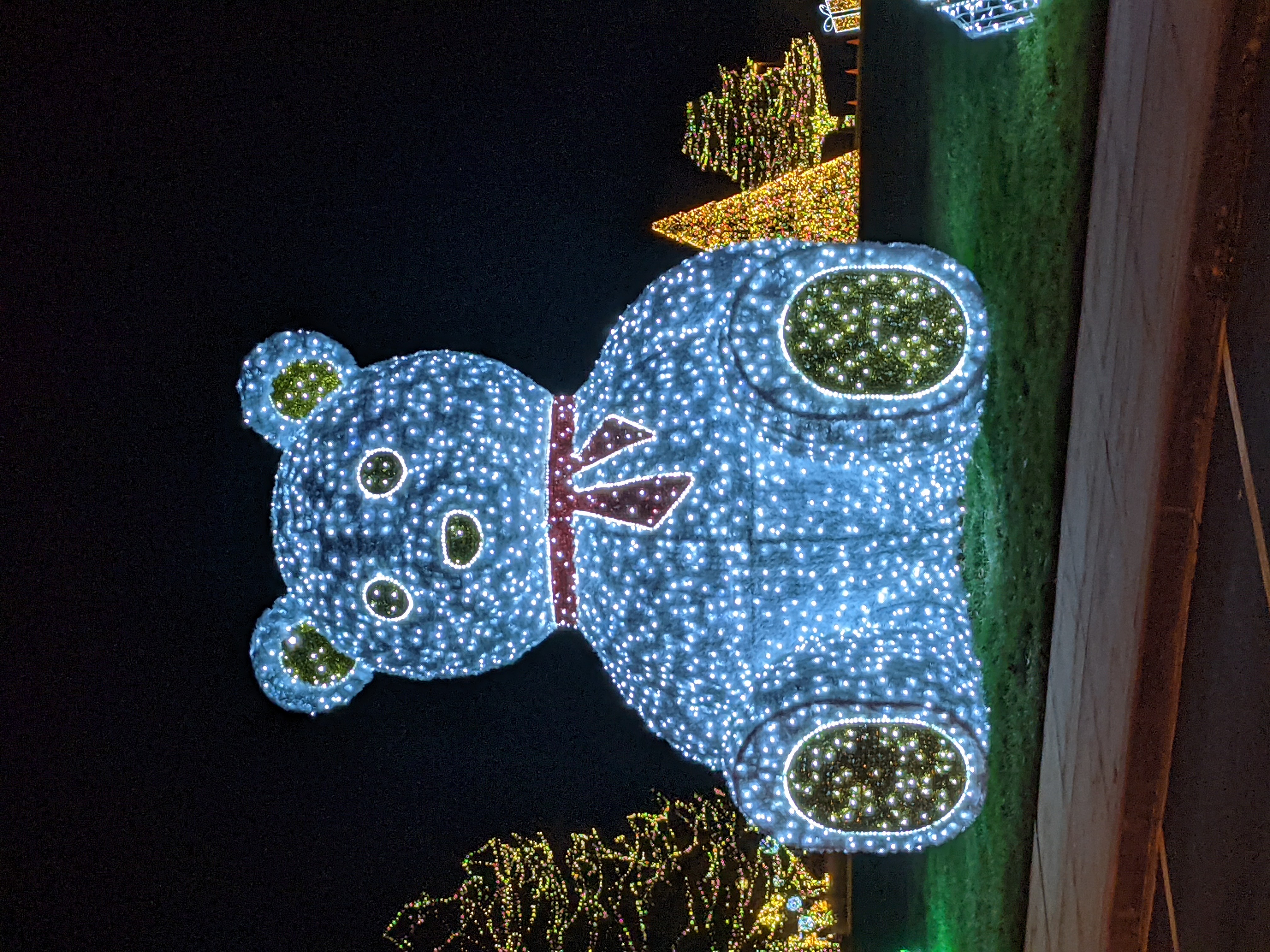 PXL 20201221 031025975