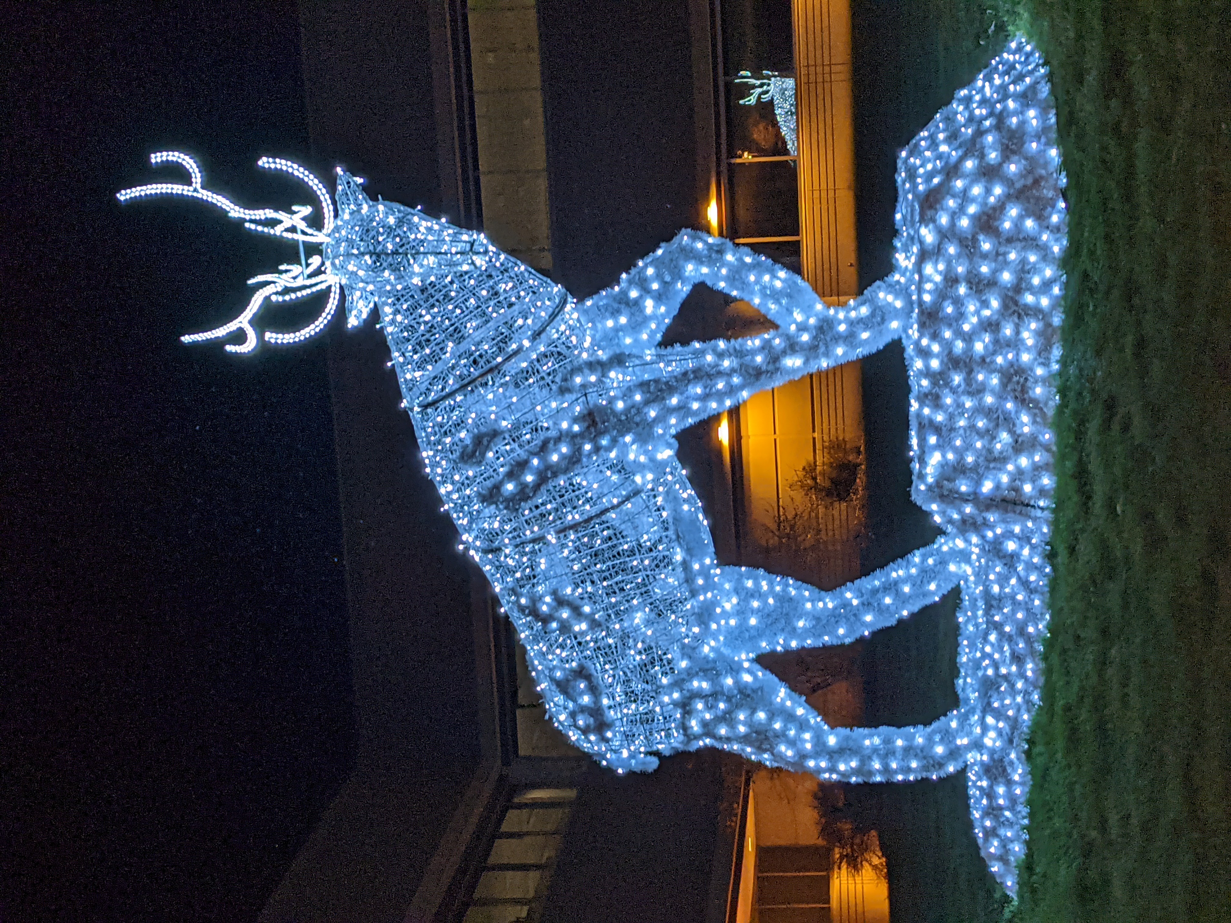 PXL 20201221 031554534