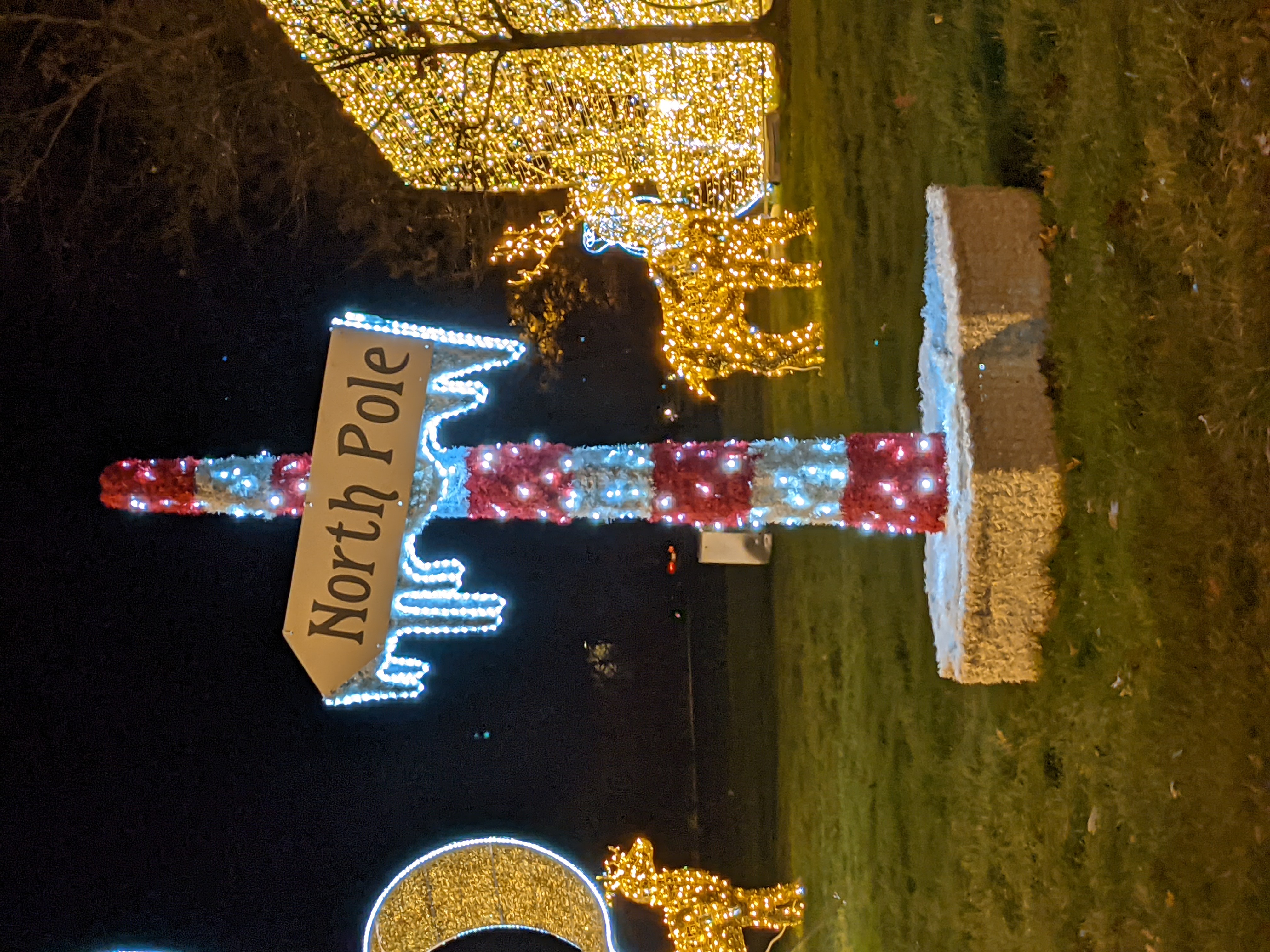 PXL 20201221 032123288