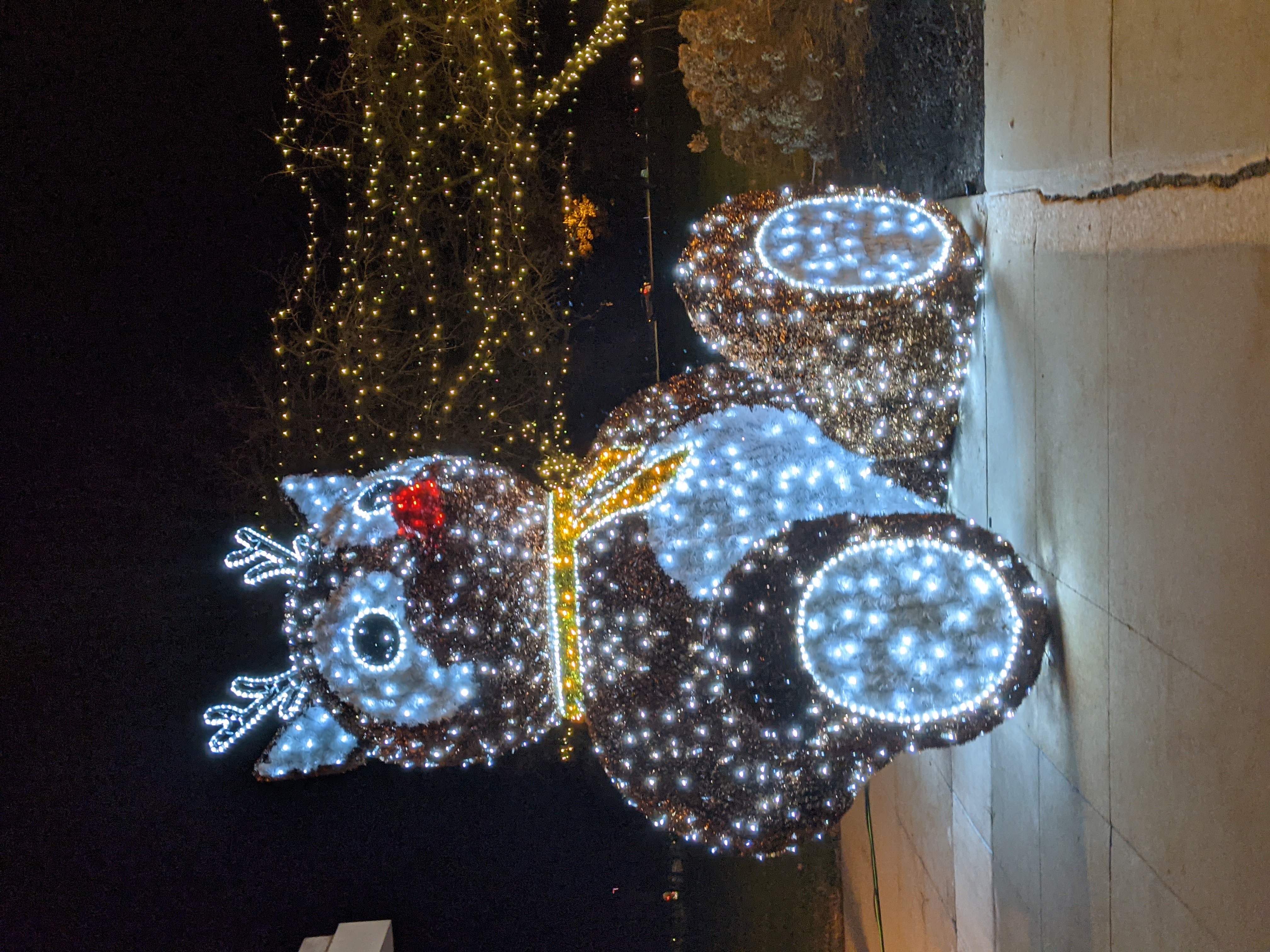 PXL 20201221 032144667