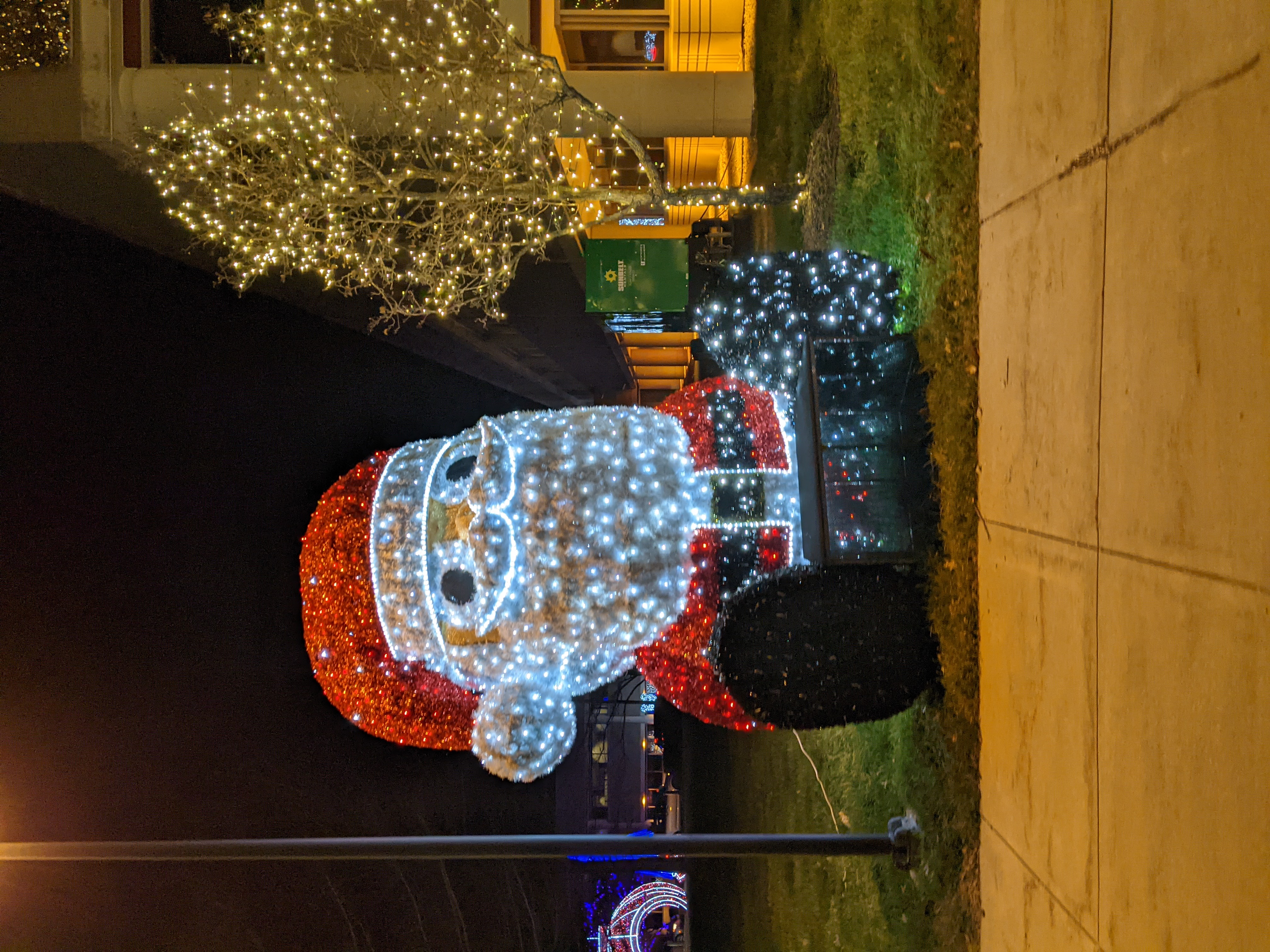 PXL 20201221 032204615