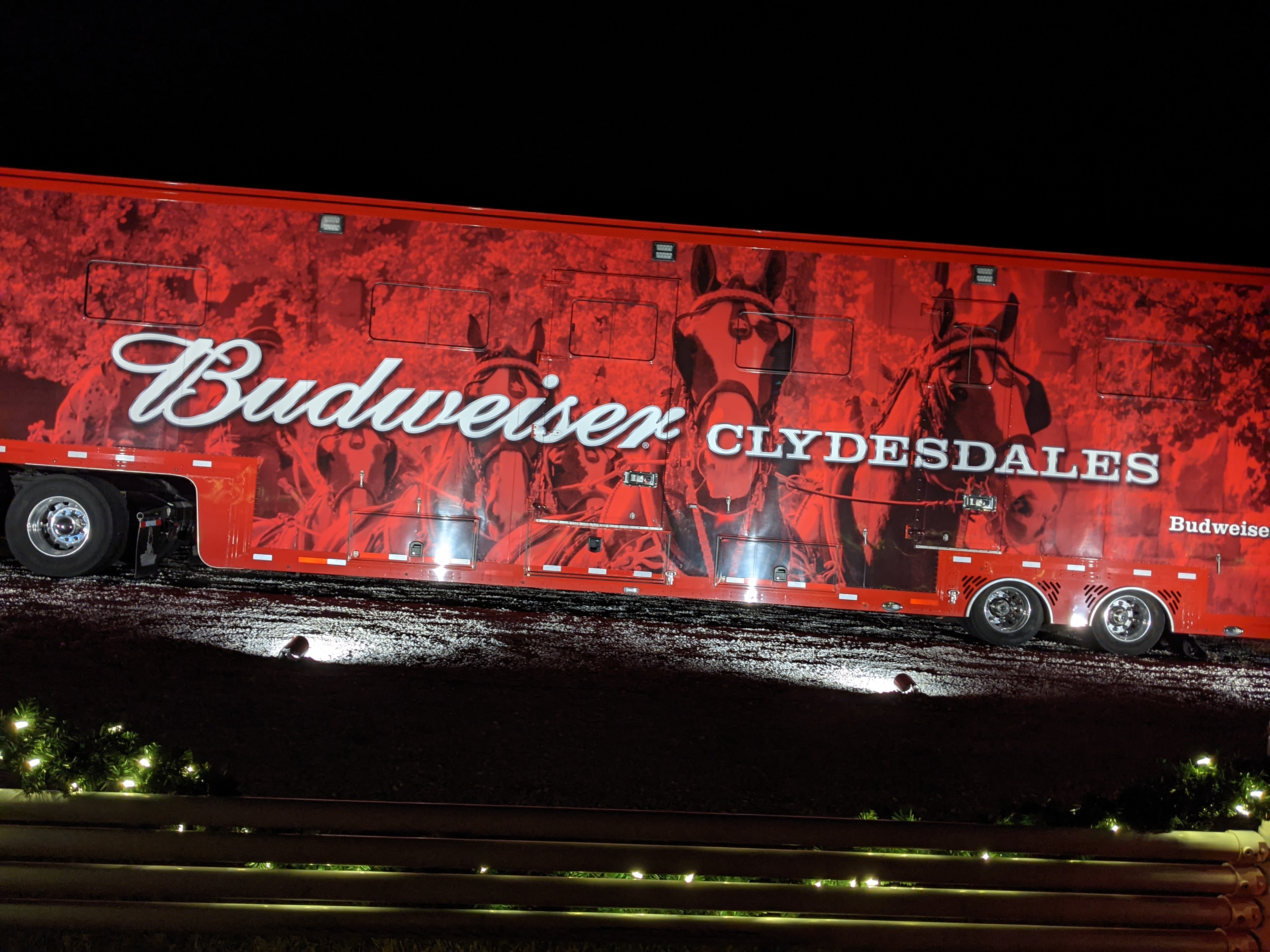 PXL 20201224 005238611