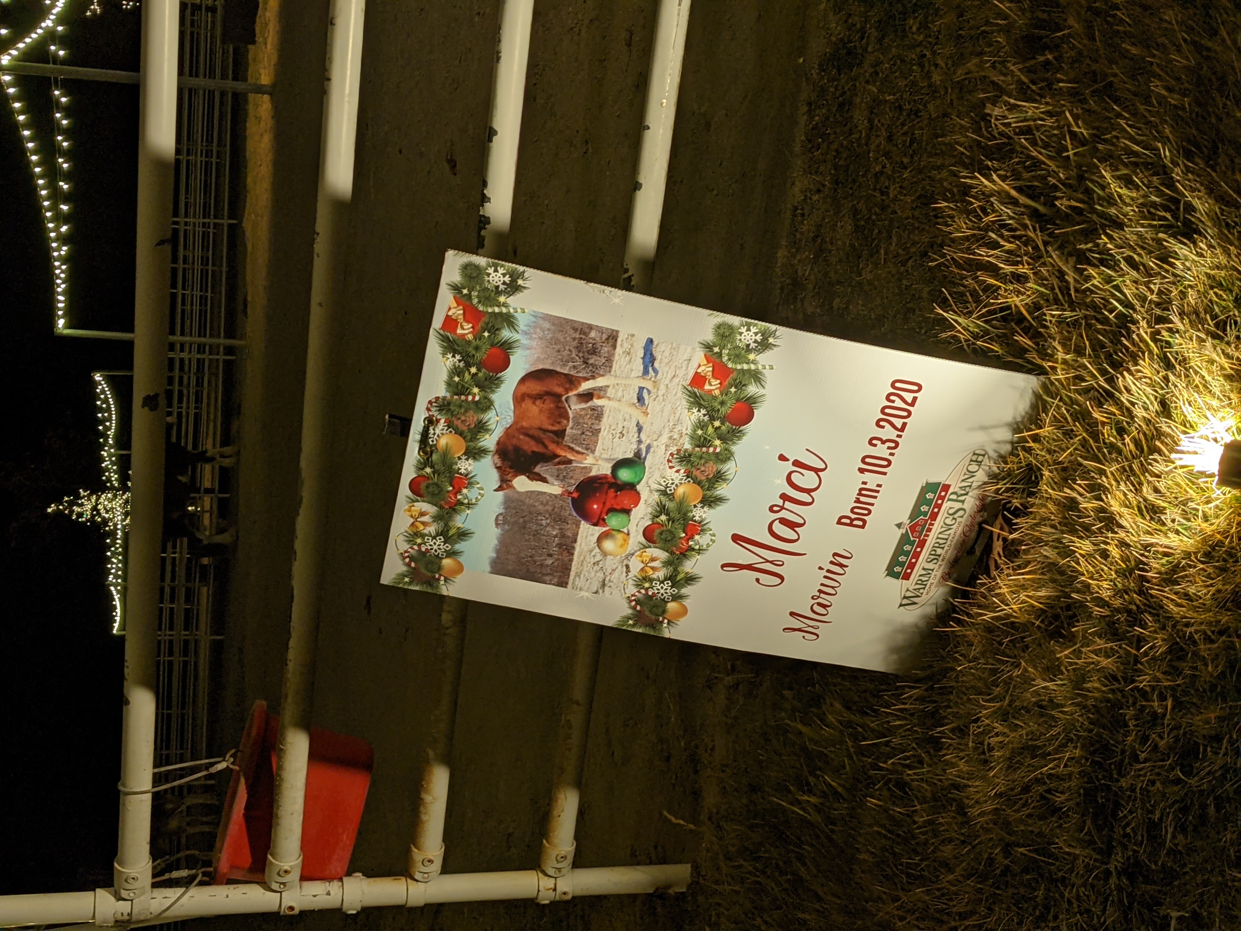 PXL 20201224 005436599