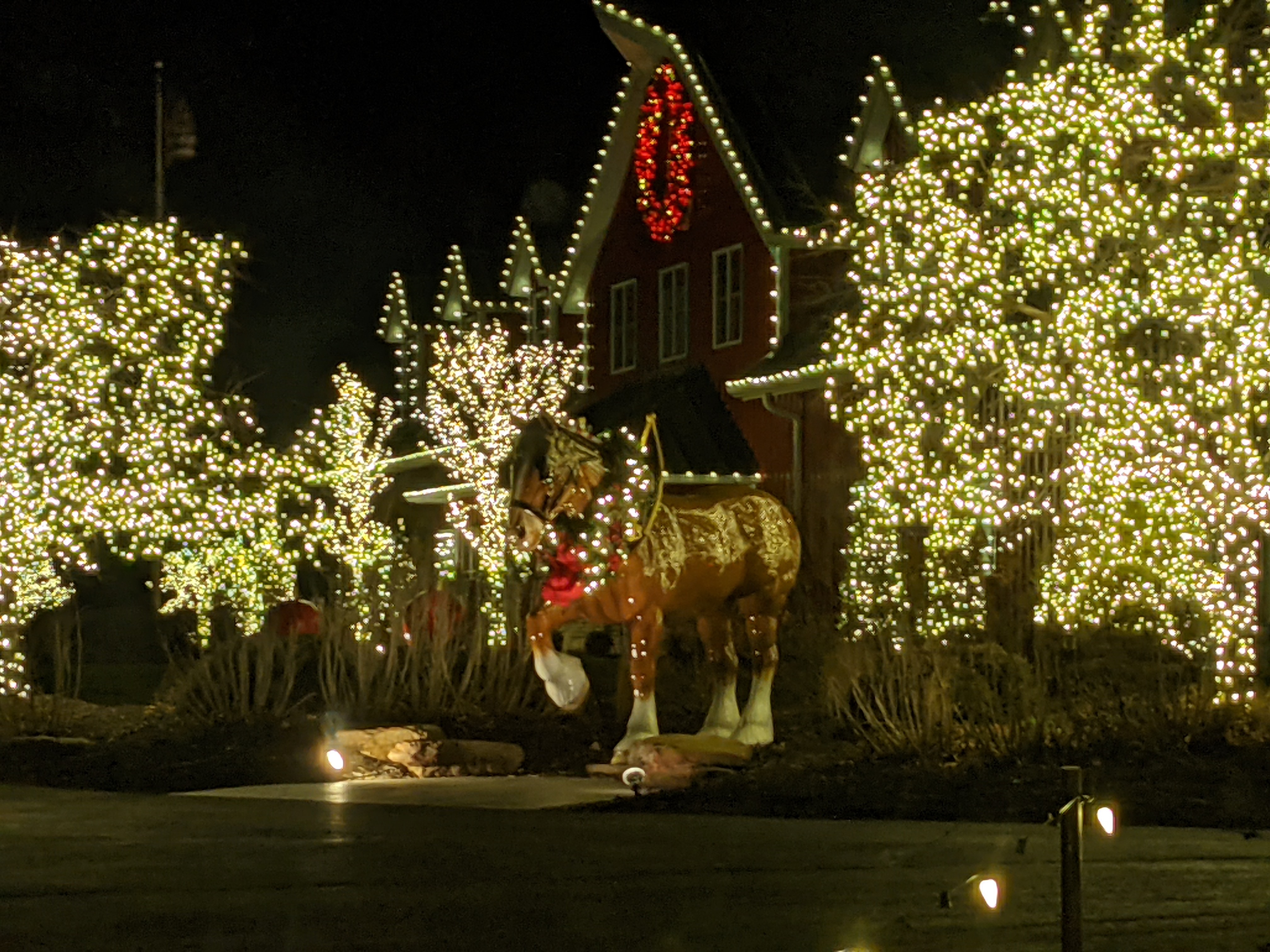 PXL 20201224 005524670