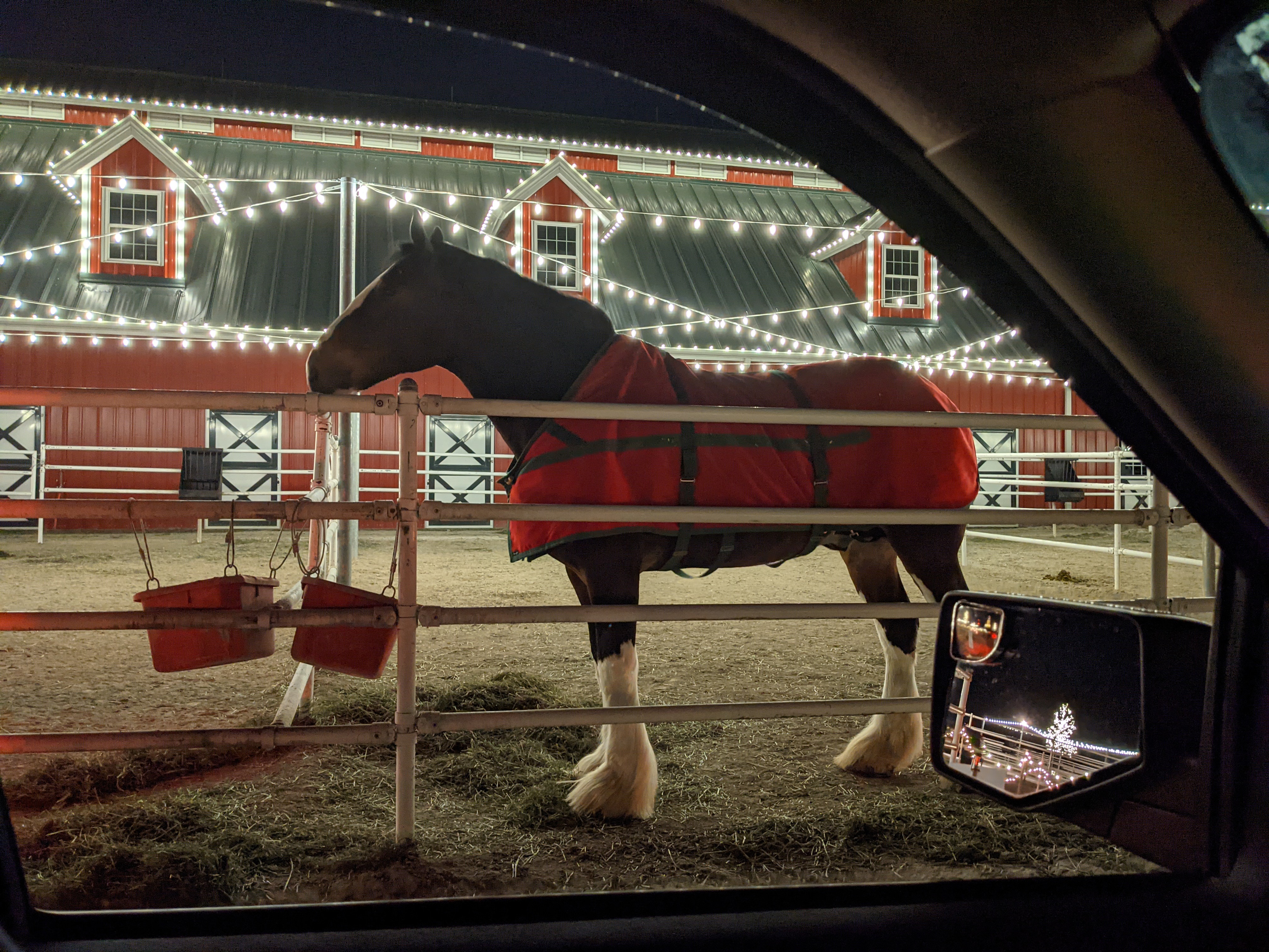 PXL 20201224 005718484