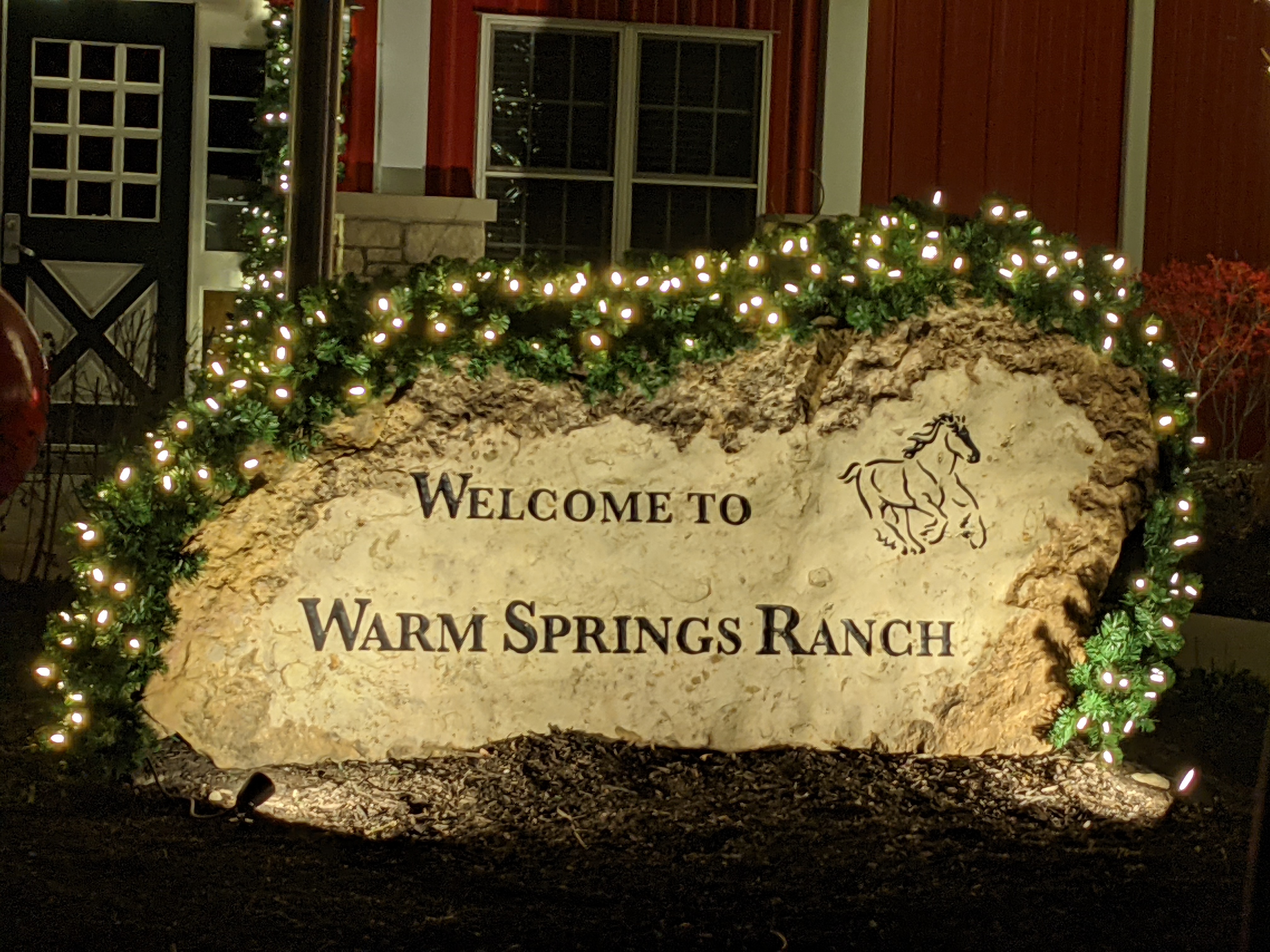 PXL 20201224 010025883