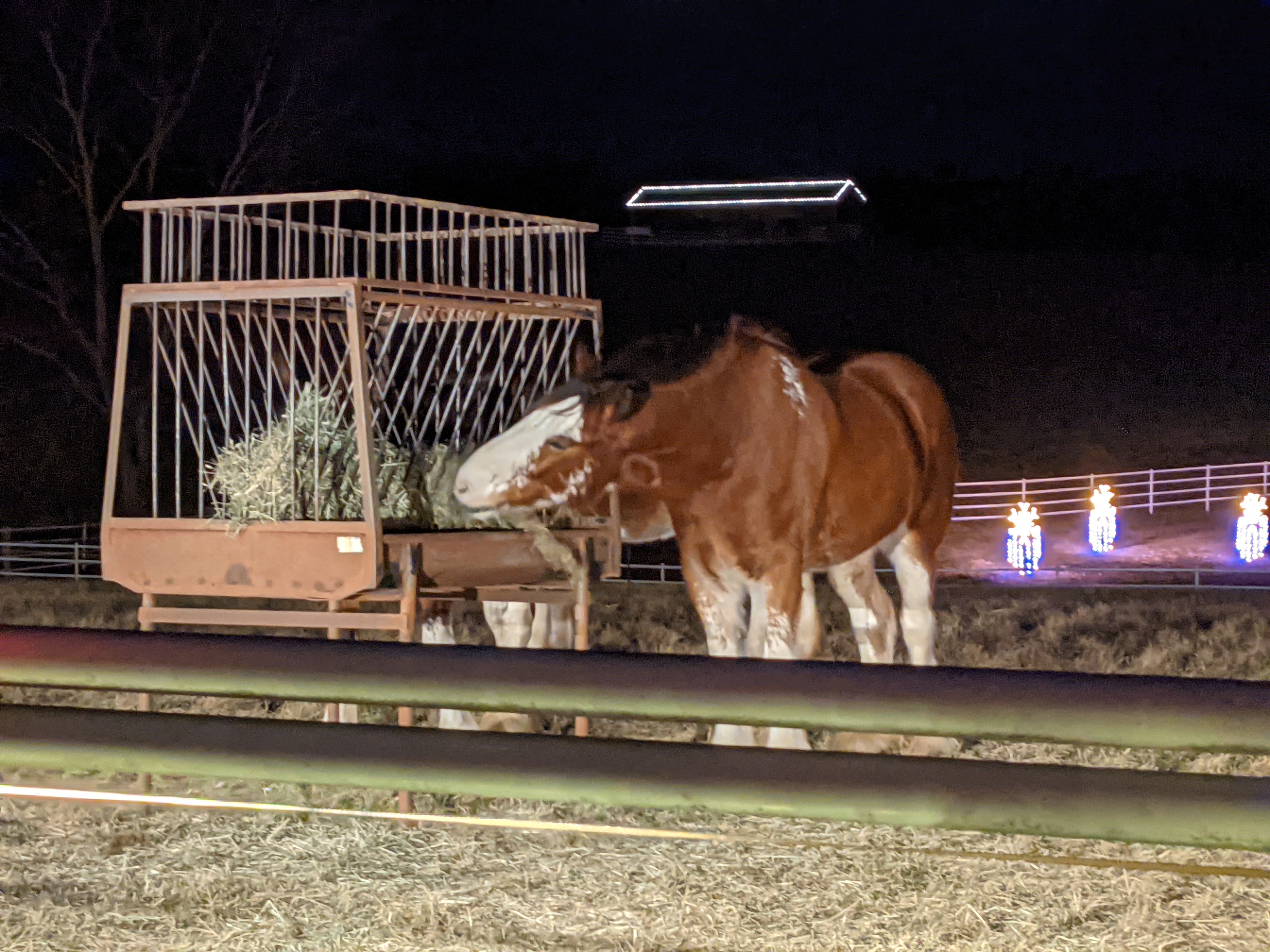 PXL 20201224 010405269