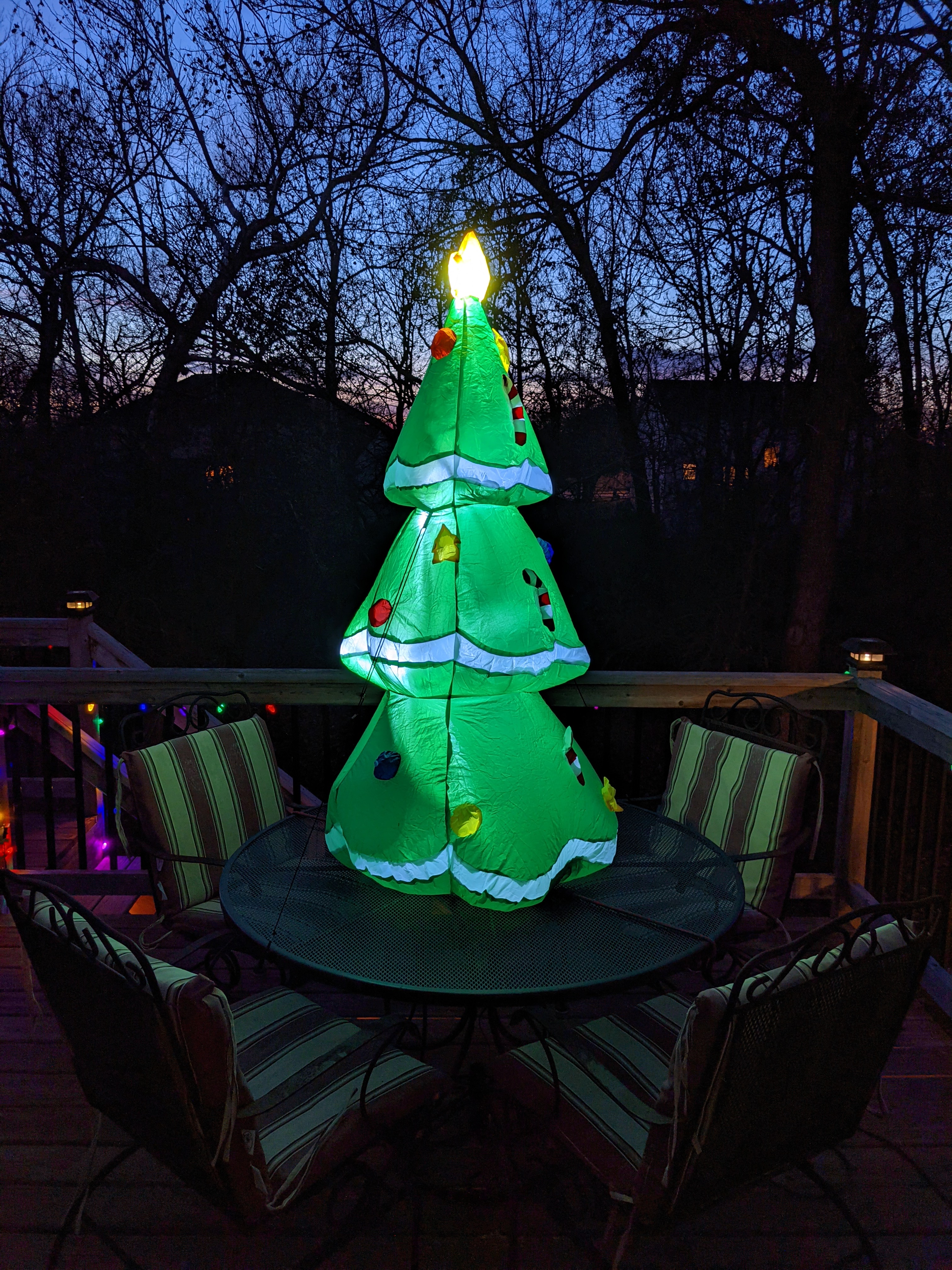 PXL 20211128 231920616