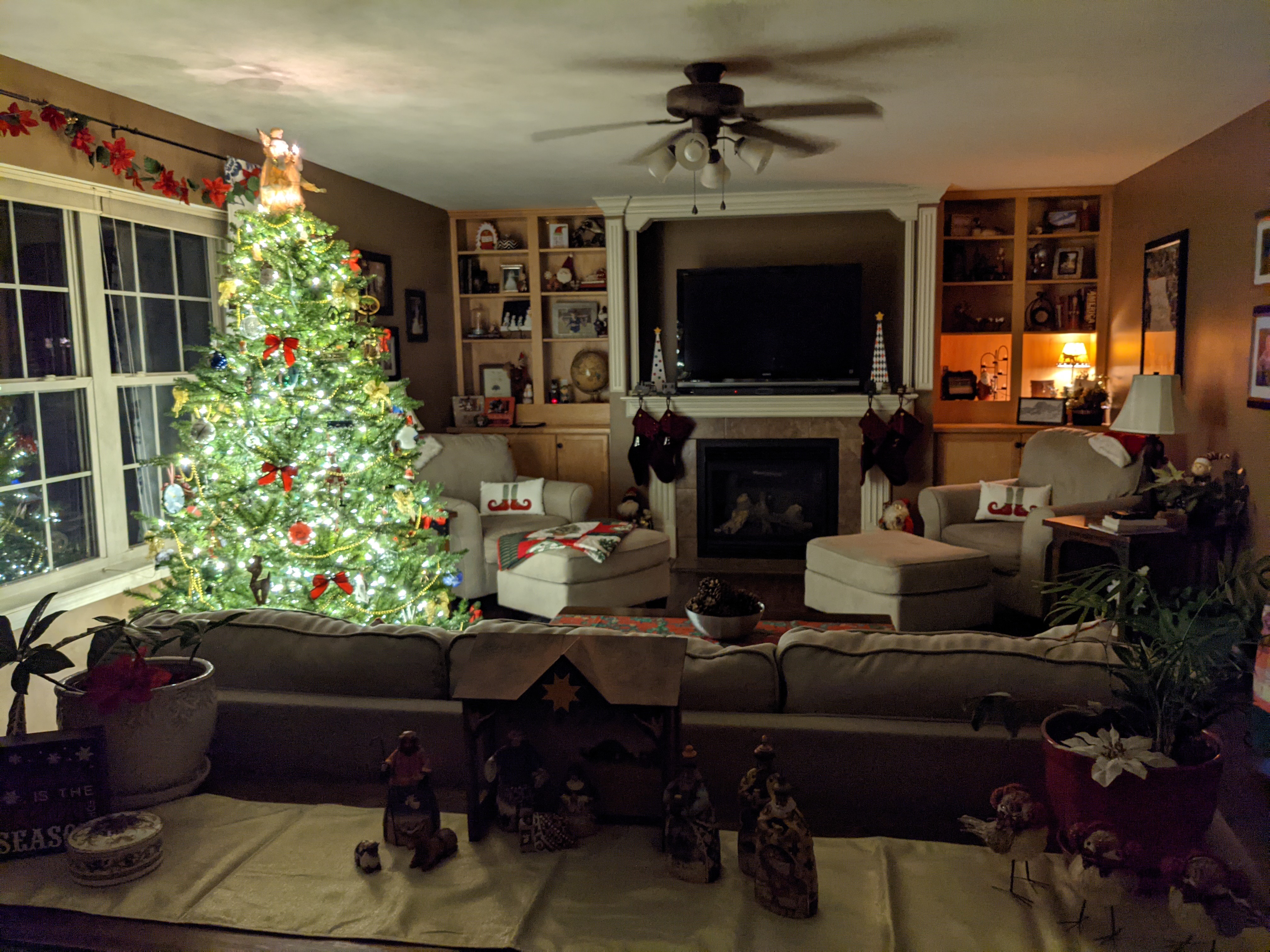 PXL 20211130 044130327