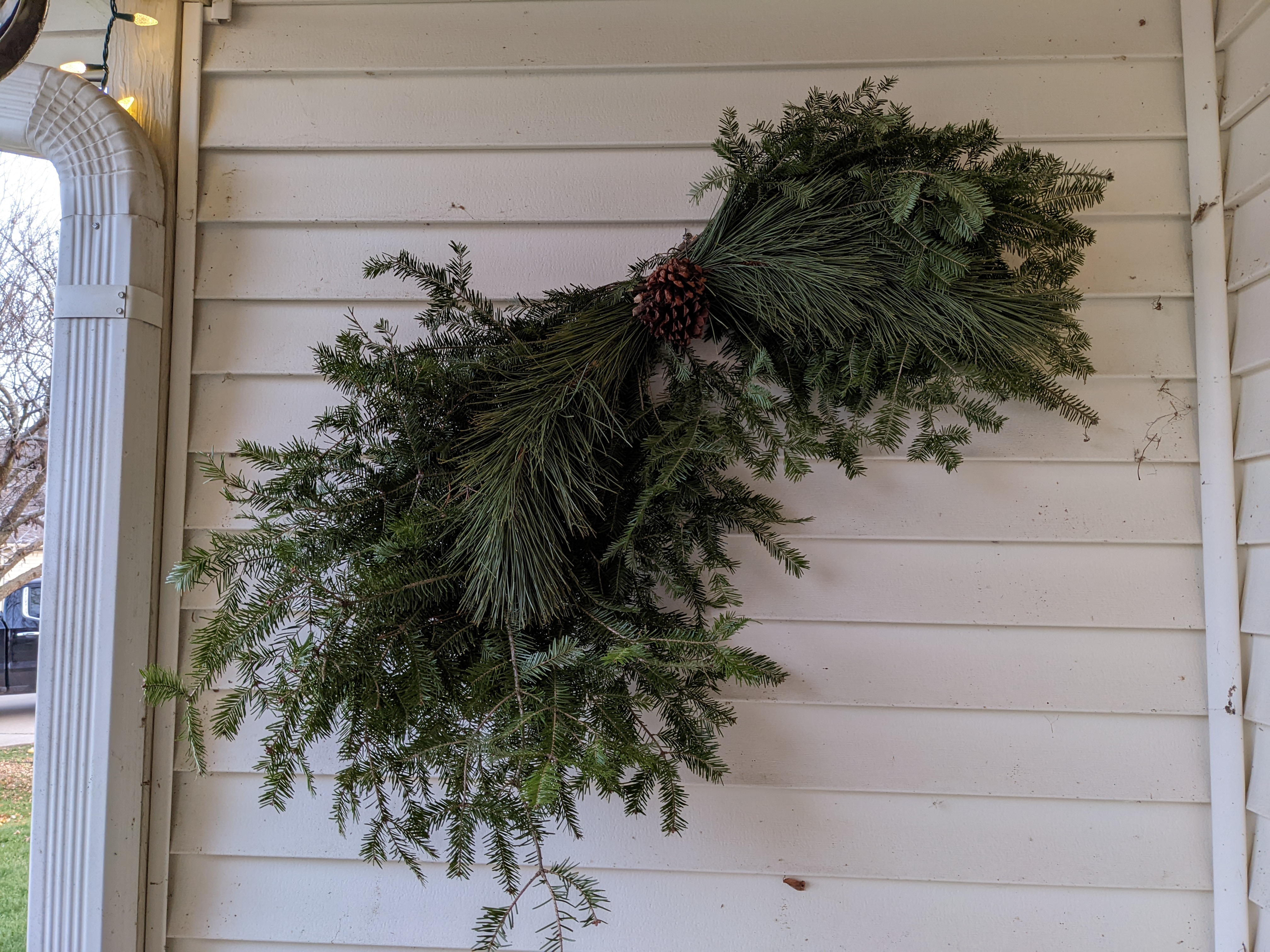 PXL 20211206 223008636