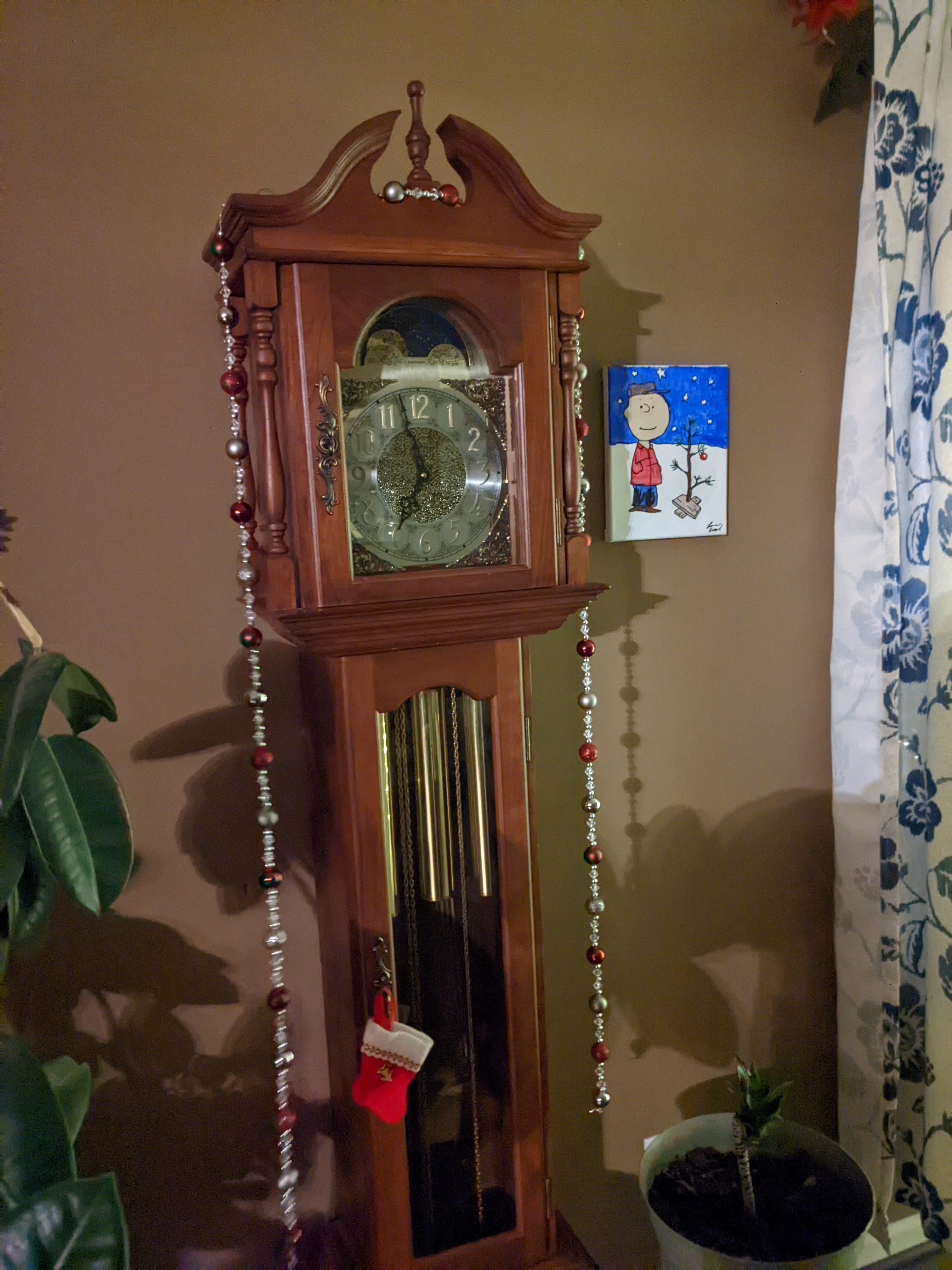 PXL 20211207 125904986