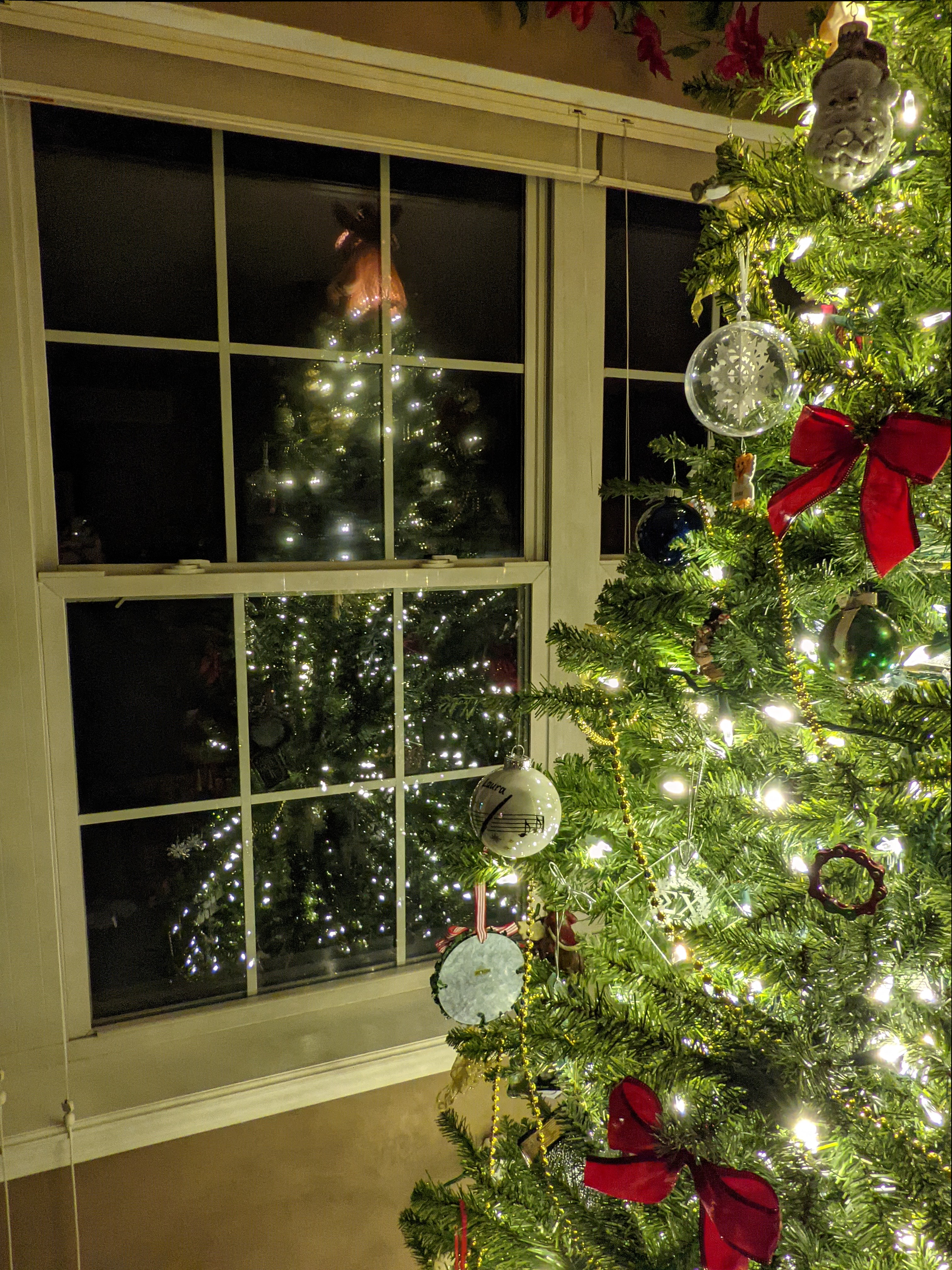 PXL 20211130 041434444