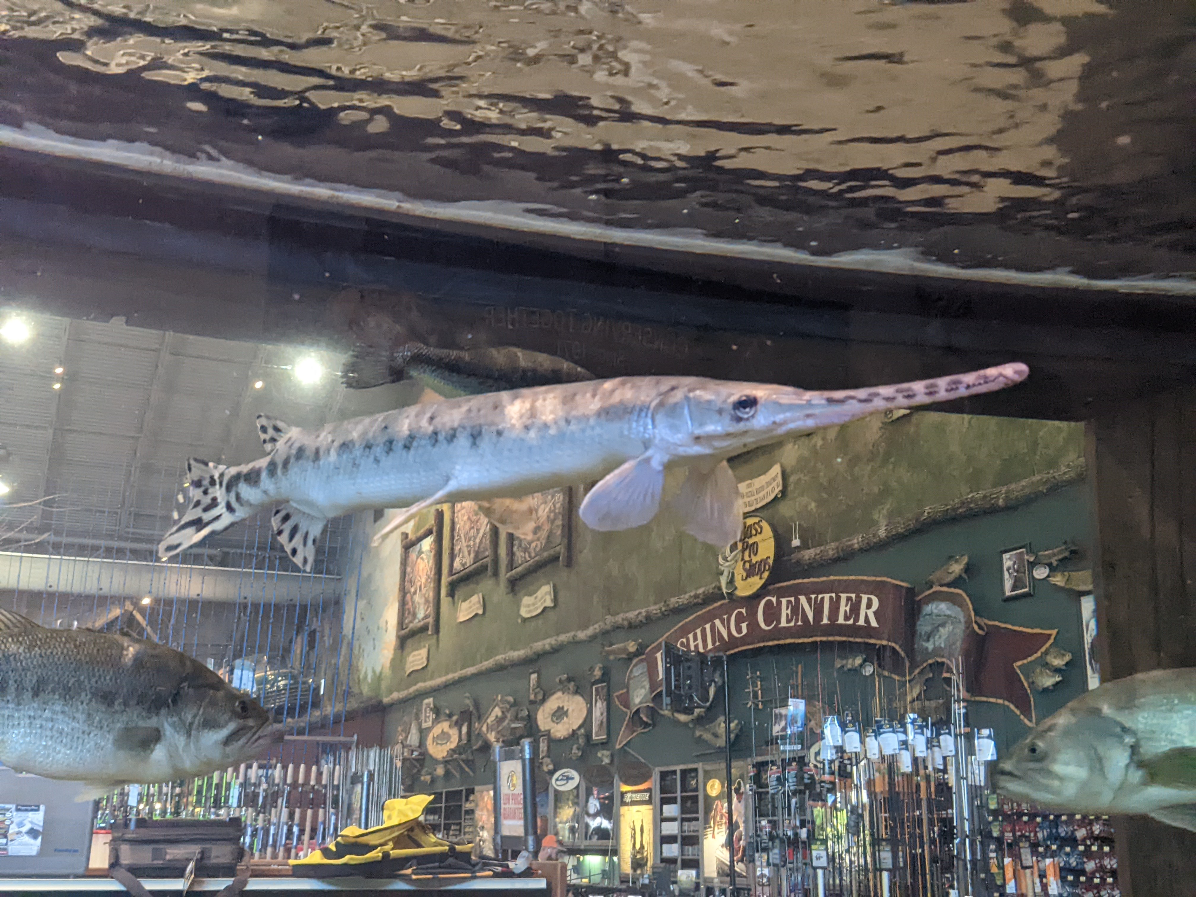 PXL 20211223 184212971