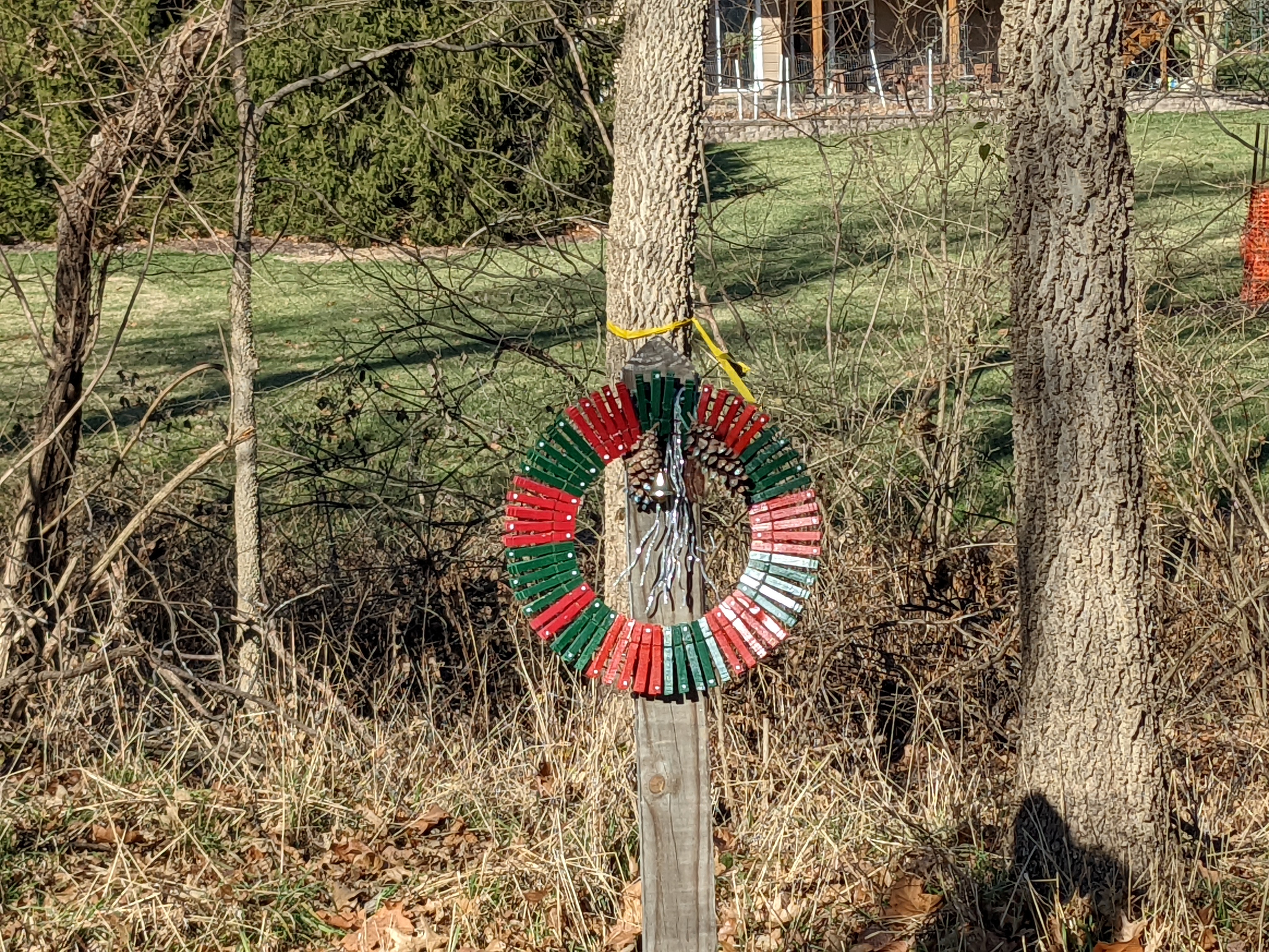 PXL 20211224 195017444