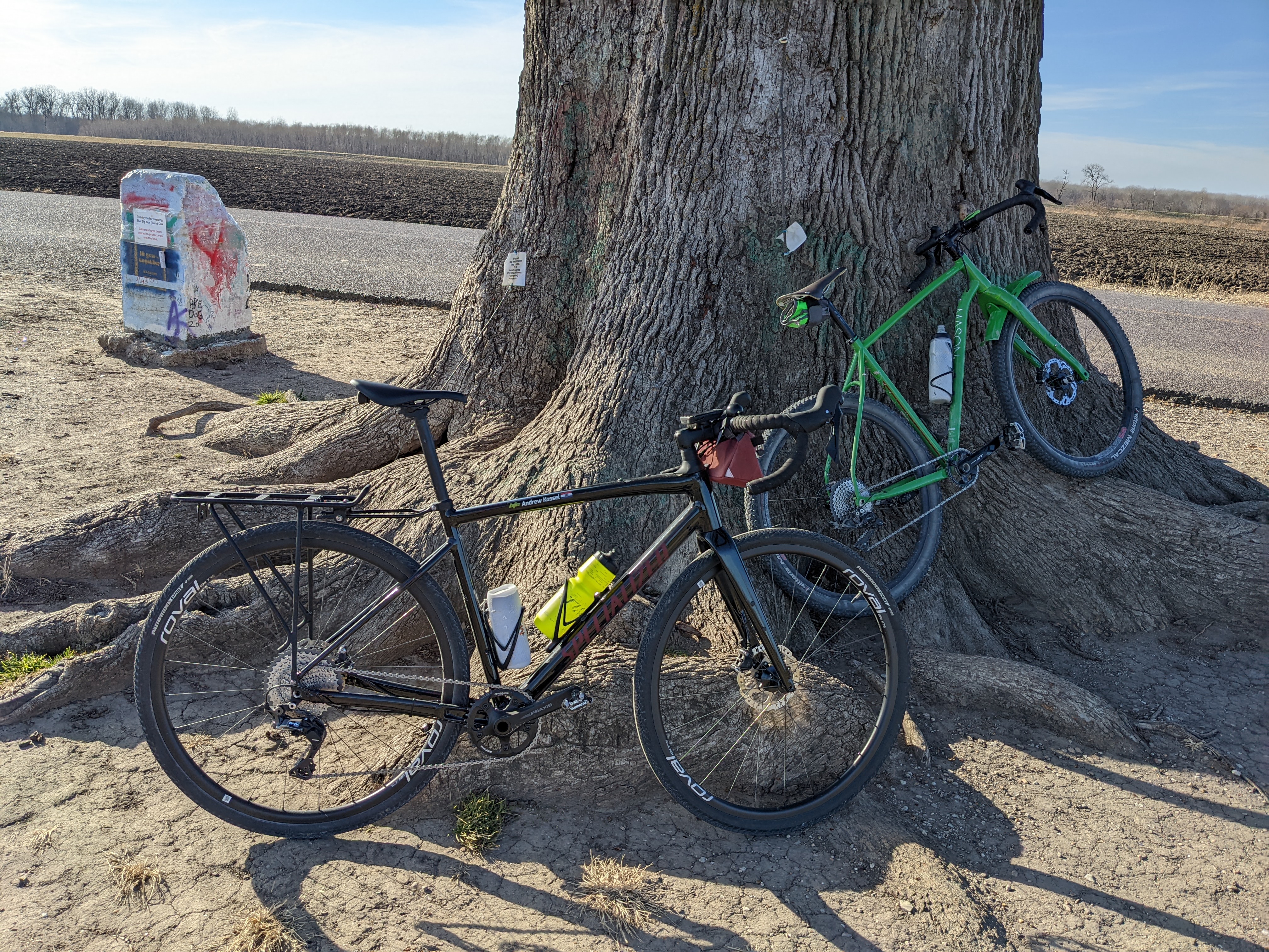 PXL 20211224 201352954