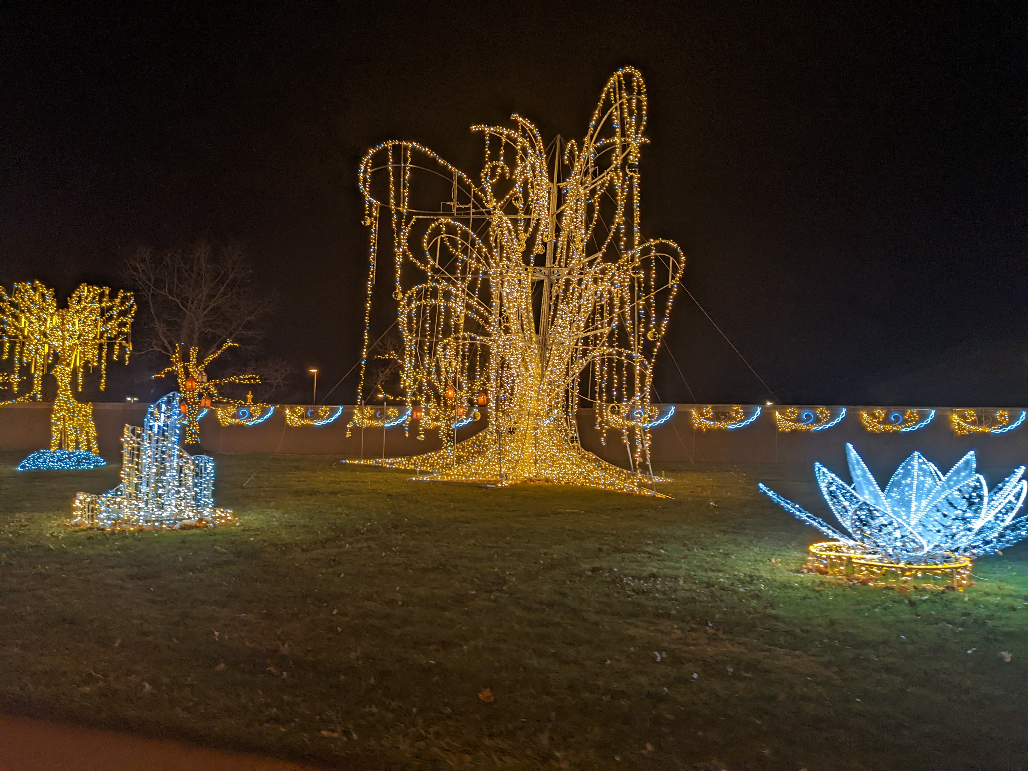 PXL 20211215 033649221