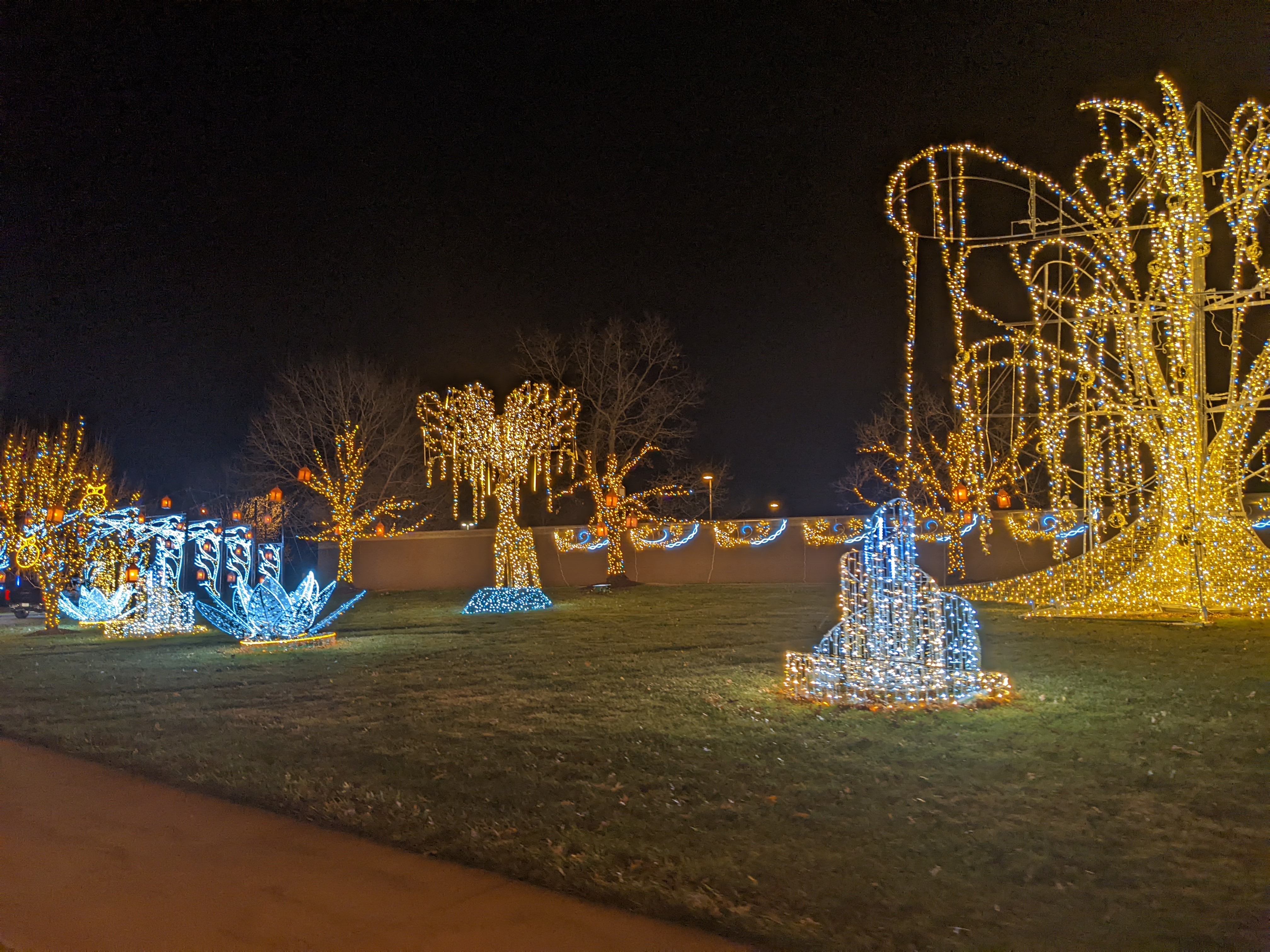 PXL 20211215 033656732