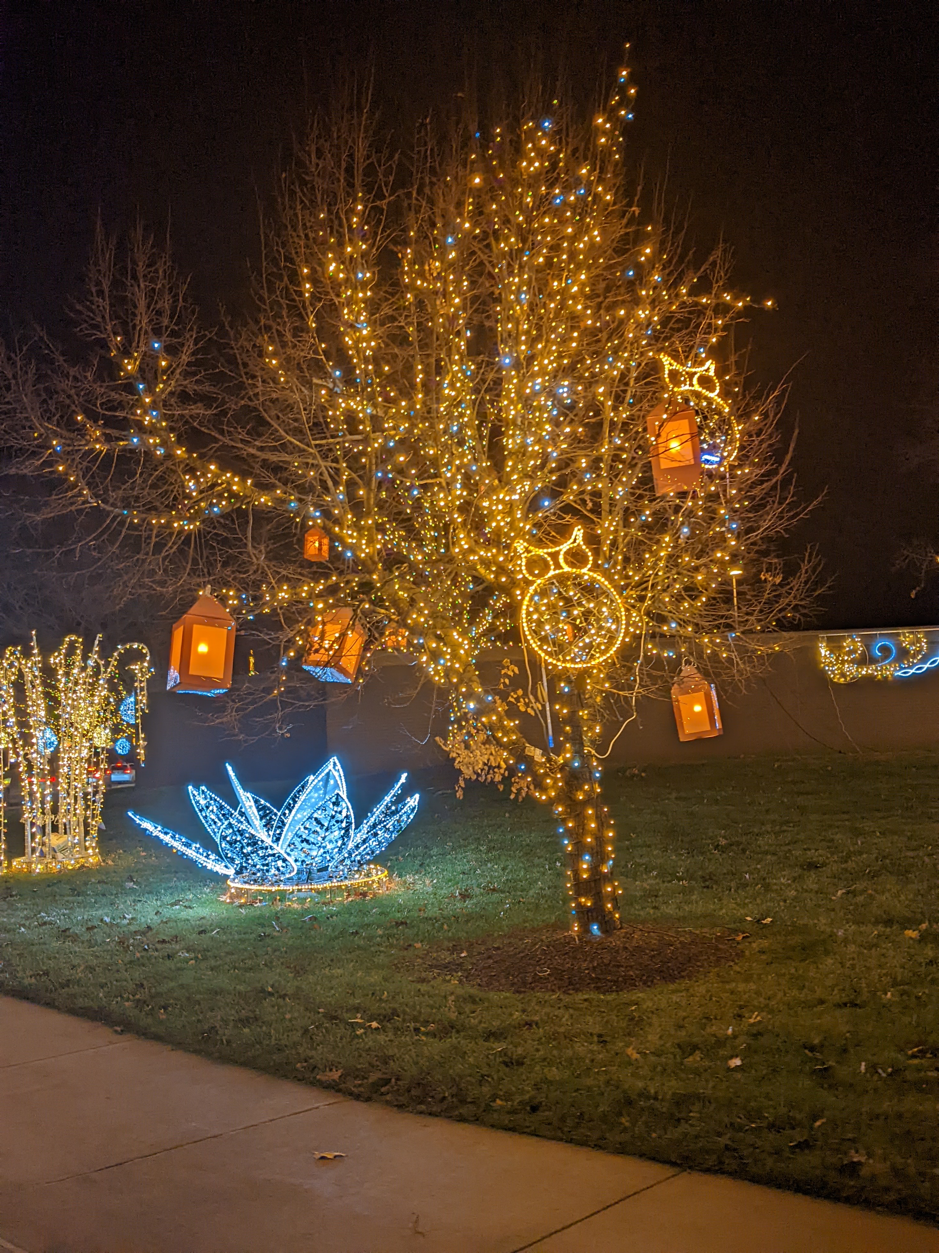 PXL 20211215 033721543