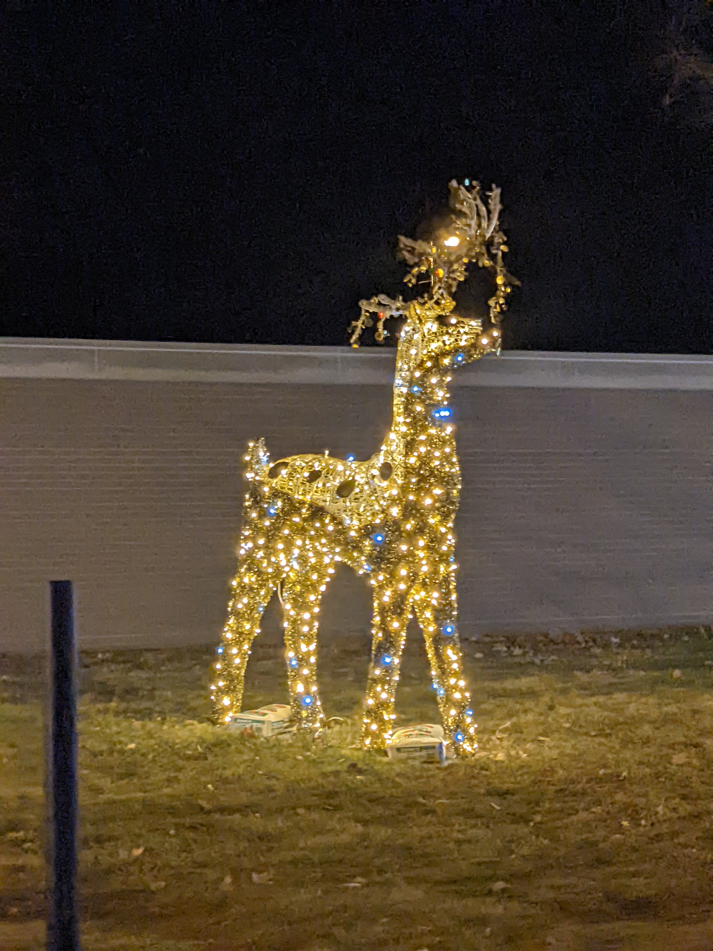 PXL 20211215 033820004