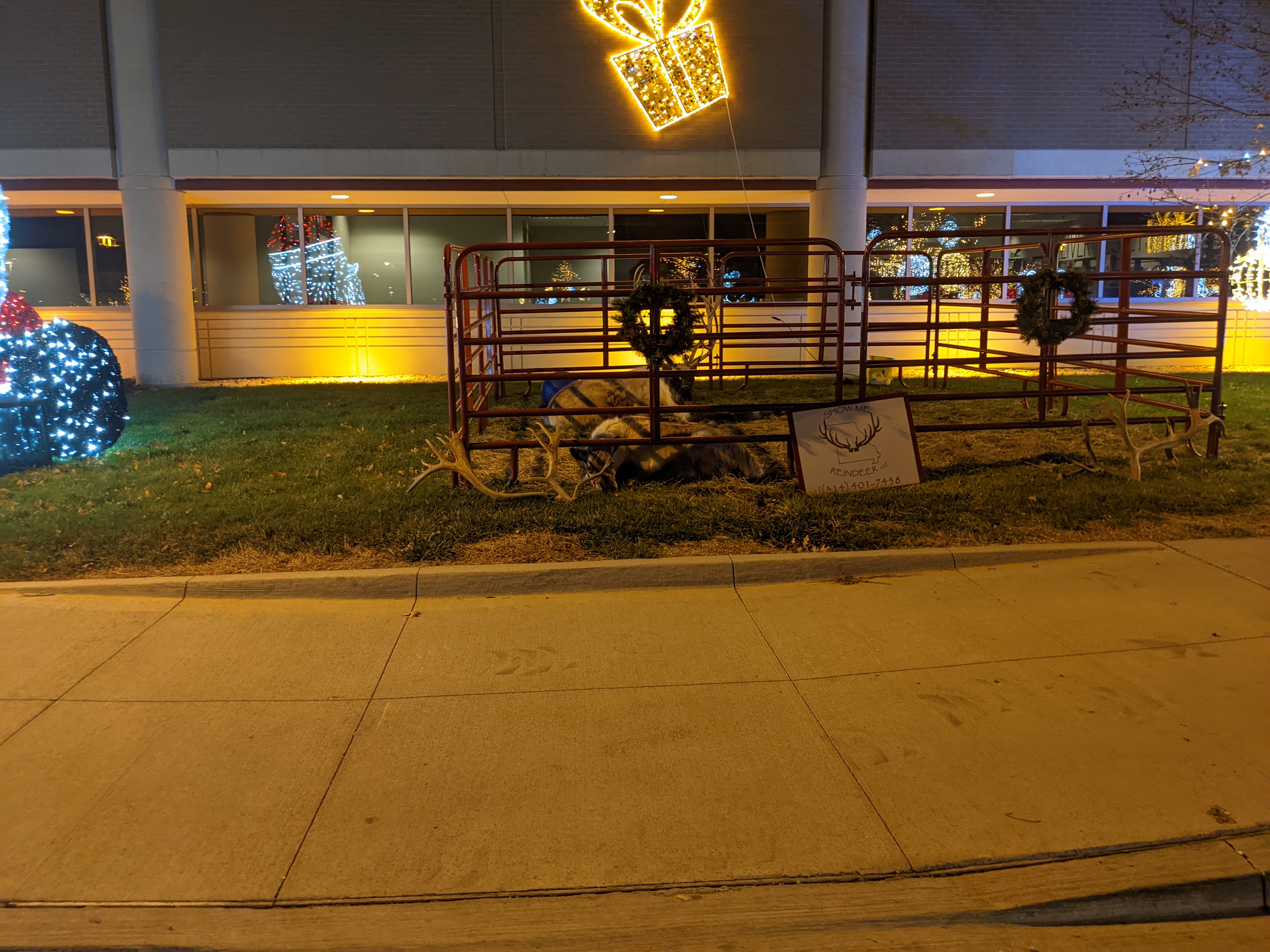 PXL 20211215 034034626